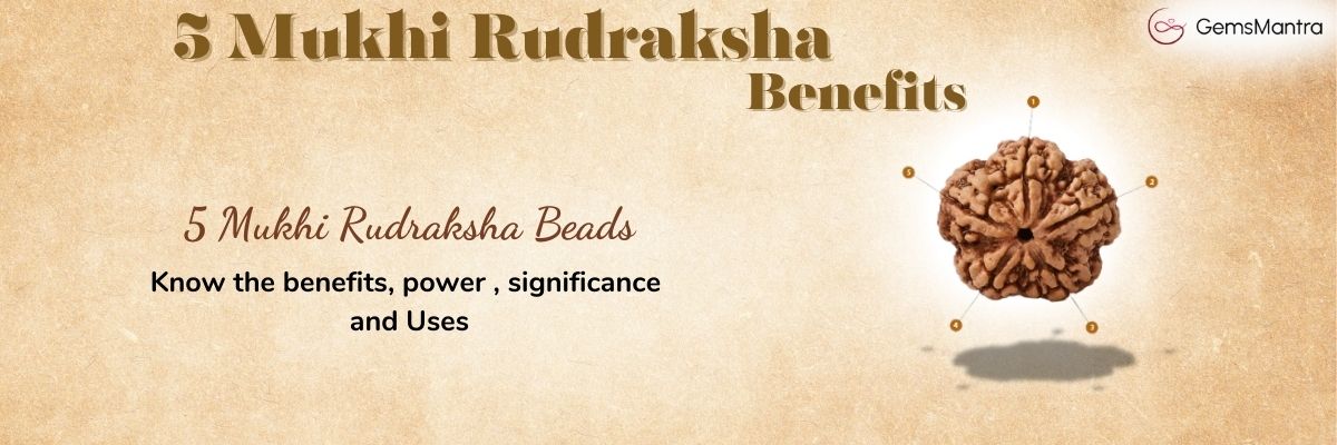 5 mukhi rudraksha benefits