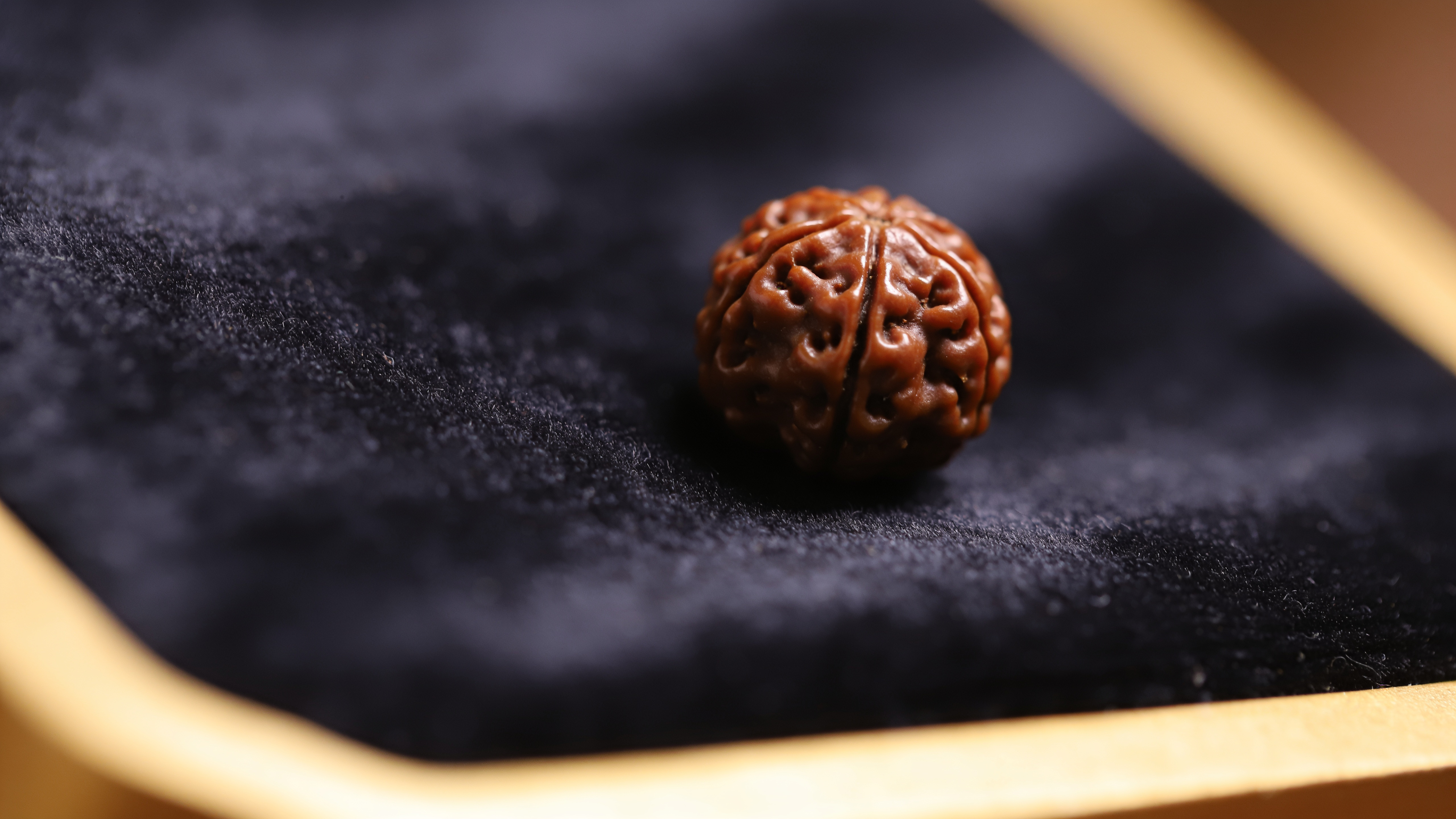 Natural Nepali 8 Mukhi Rudraksha bead showing eight face lines — GemsMantra