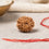 Natural 10 Mukhi Rudraksha (Nepali)