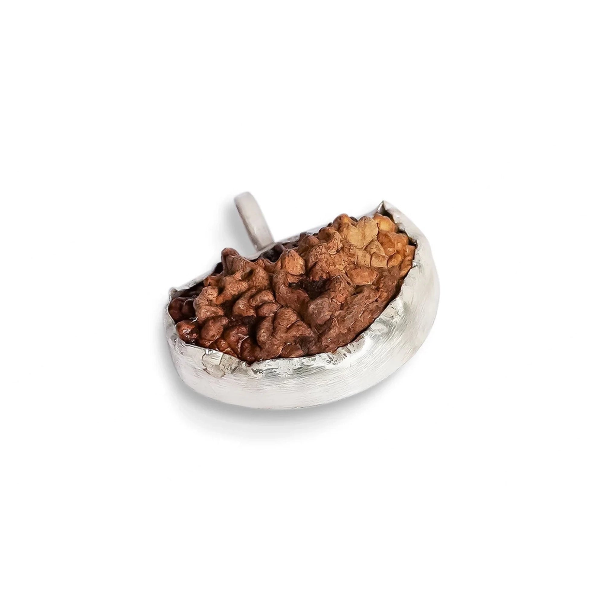 1 Mukhi (Ek Mukhi) Rudraksha – Indian, Silver Pendant