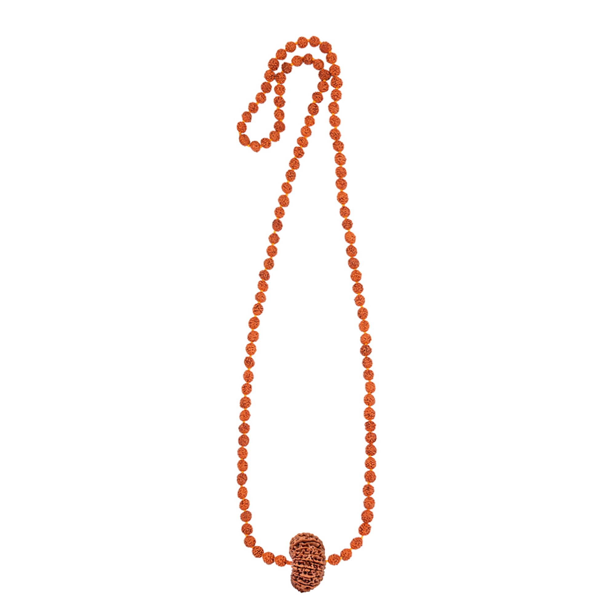 Rudra Vishnu Tattva Mala – 20 Mukhi Rudraksha