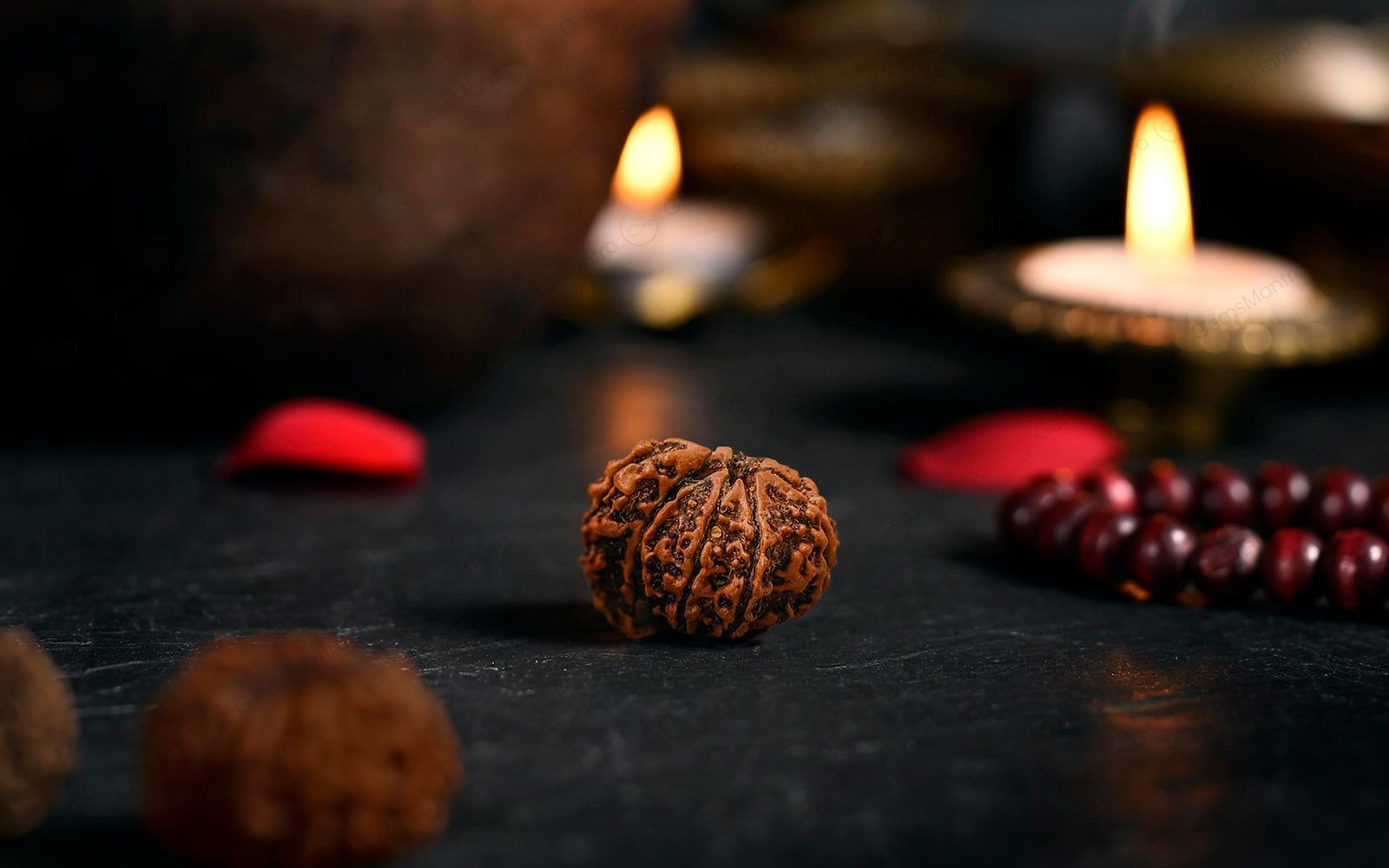 Natural 1 Mukhi Rudraksha Savar (Nepali)