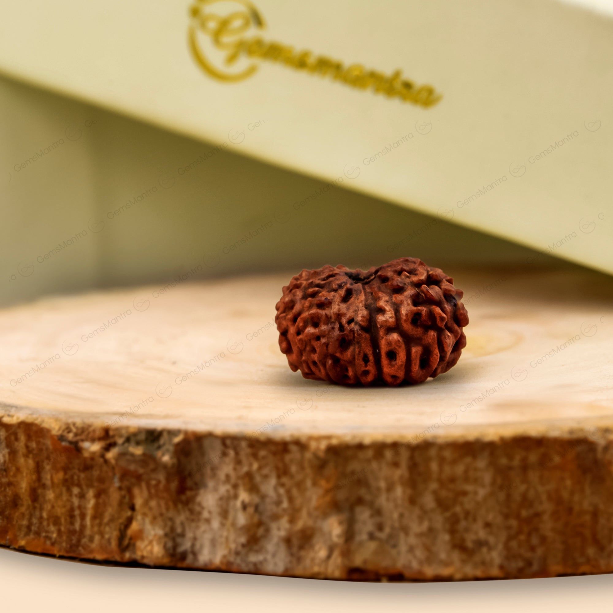 Natural 16 Mukhi Natural Rudraksha