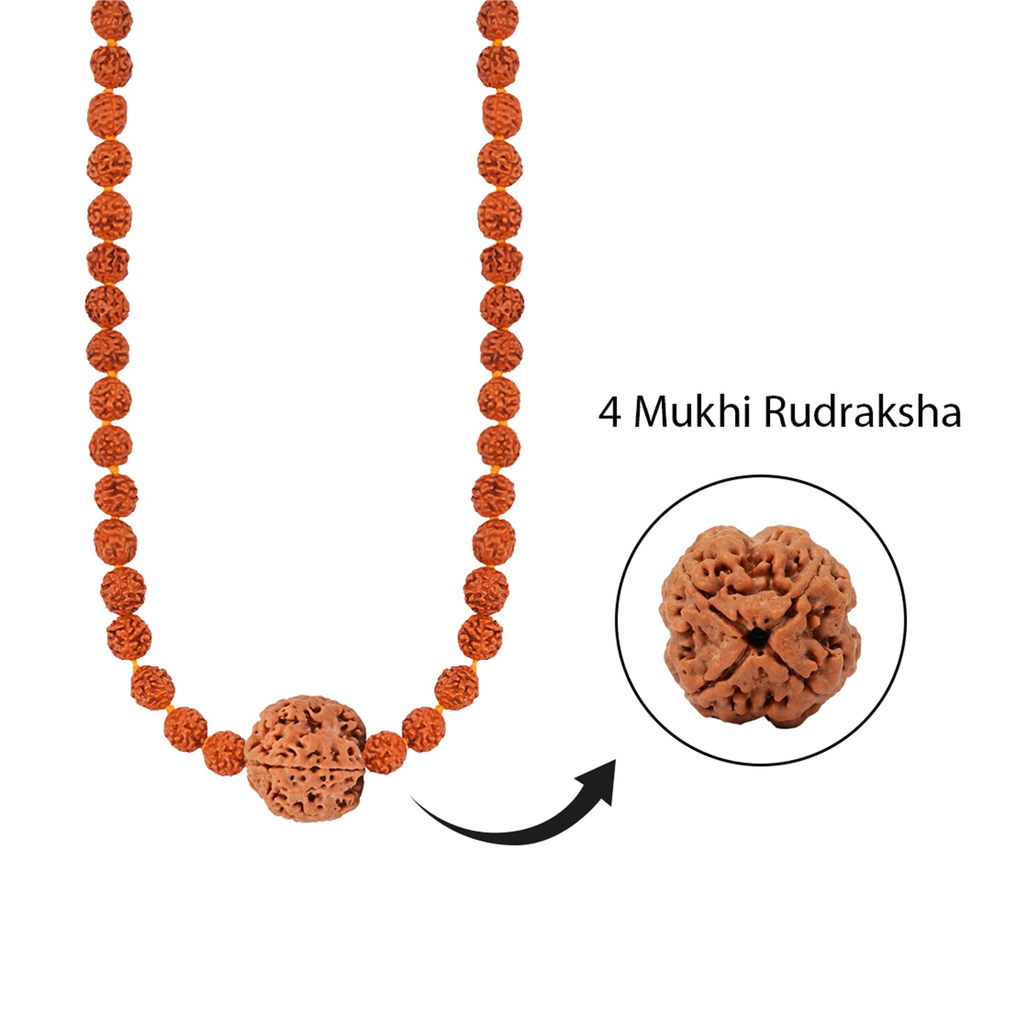 Shiva Brahma Shakti Mala – 4 Mukhi Rudraksha