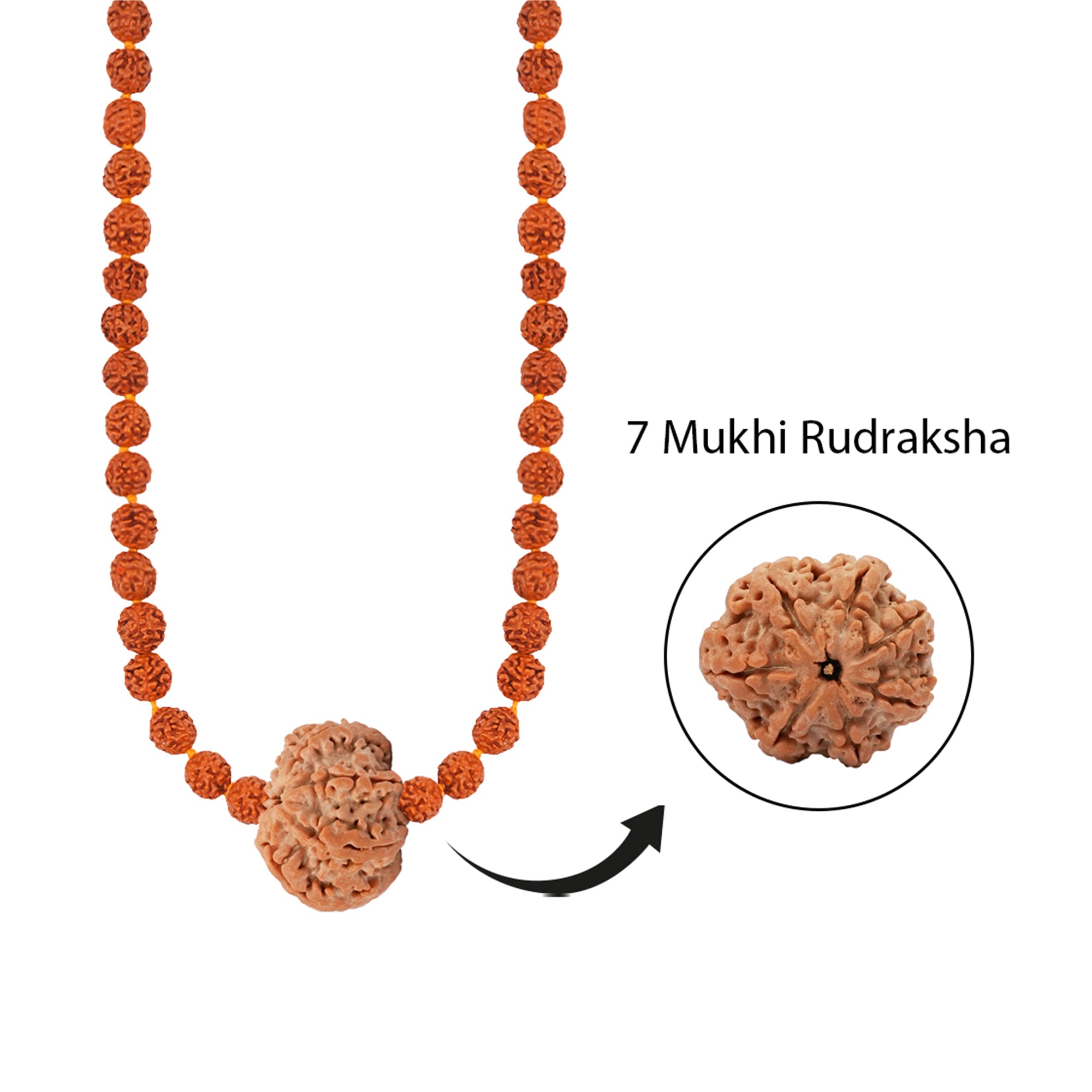 Panch Saptarishi Energy Mala – 7 Mukhi Rudraksha