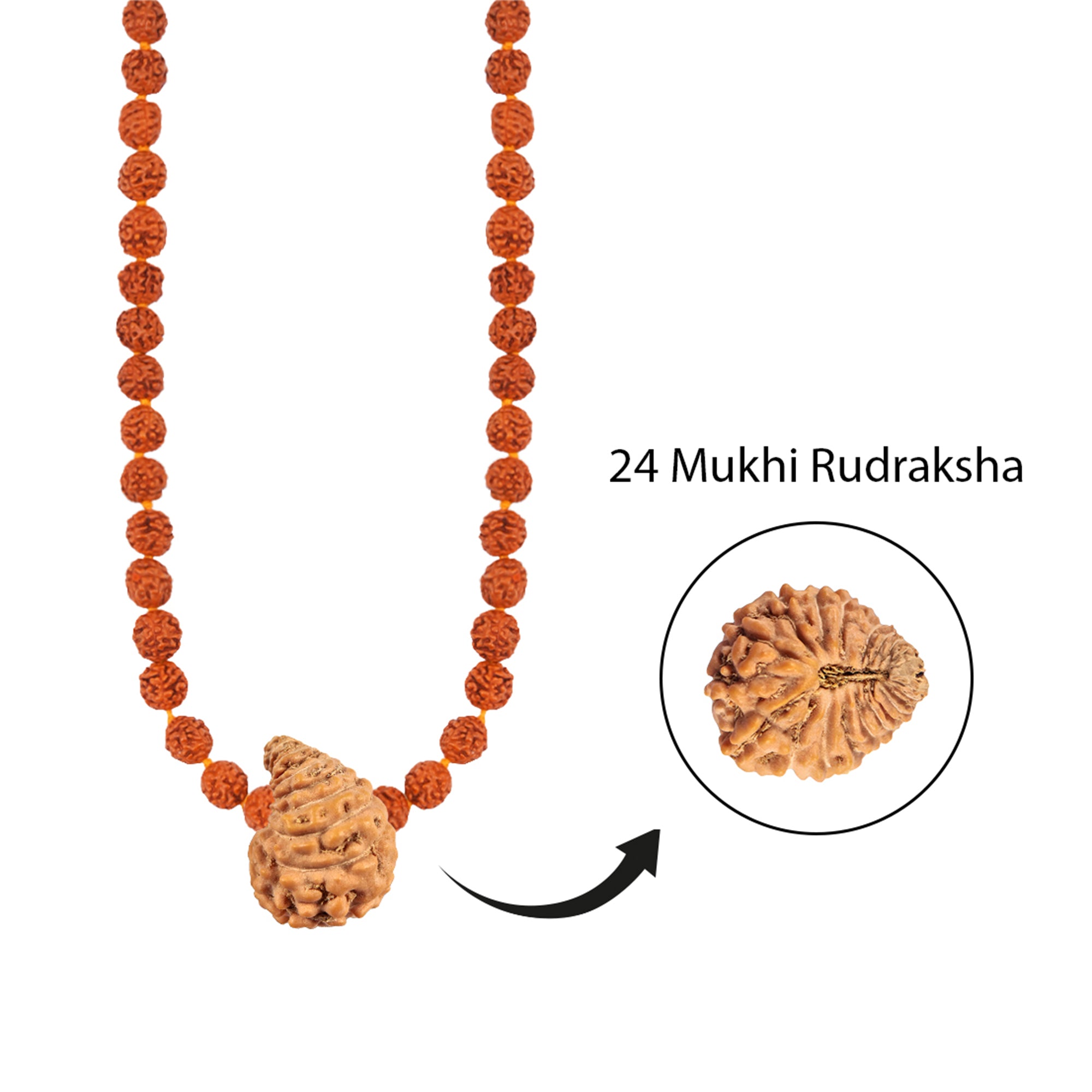 Shiva Vishnu Aaditya Mala – 24 Mukhi Rudraksha