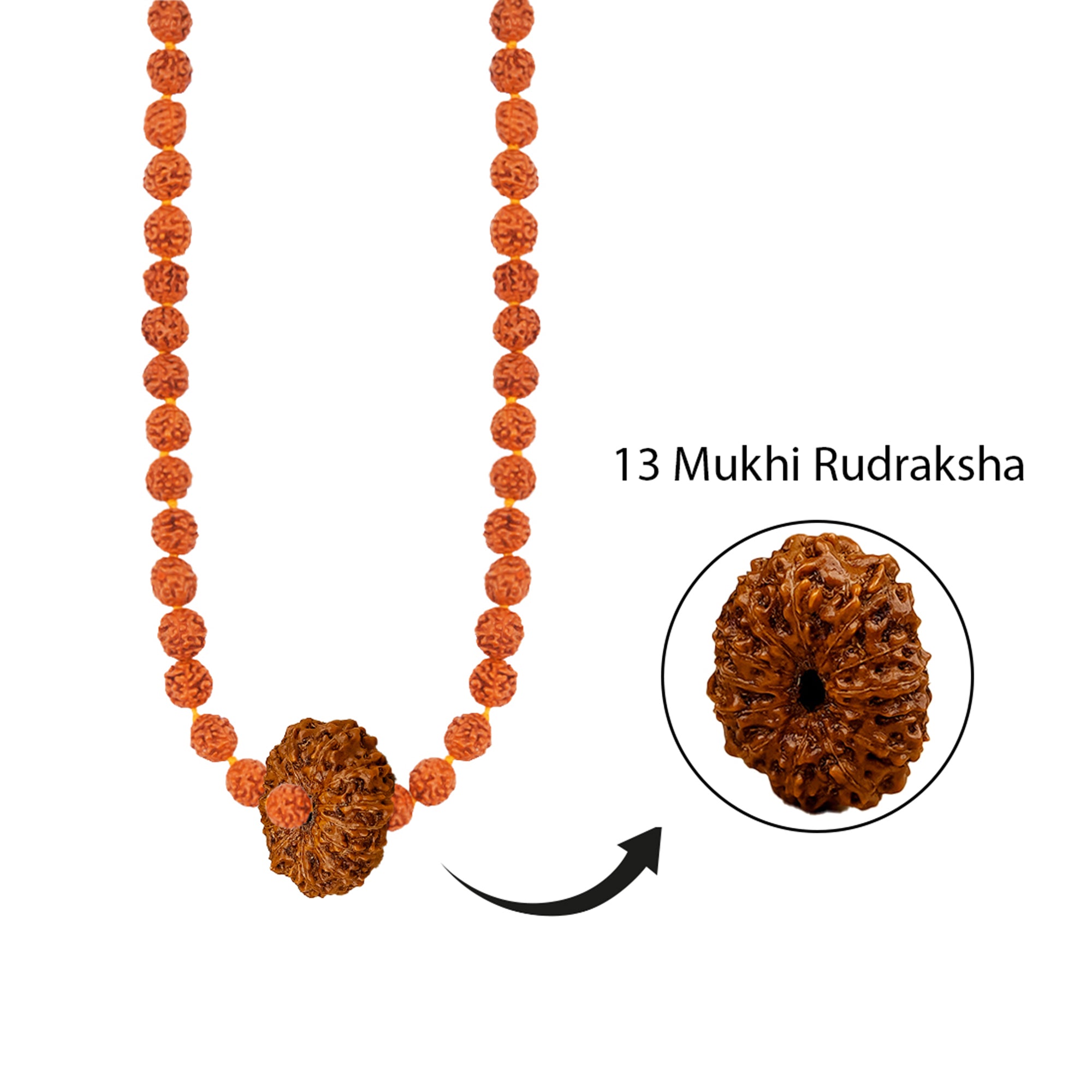 Rudra Siddha Mala – 13 Mukhi Rudraksha
