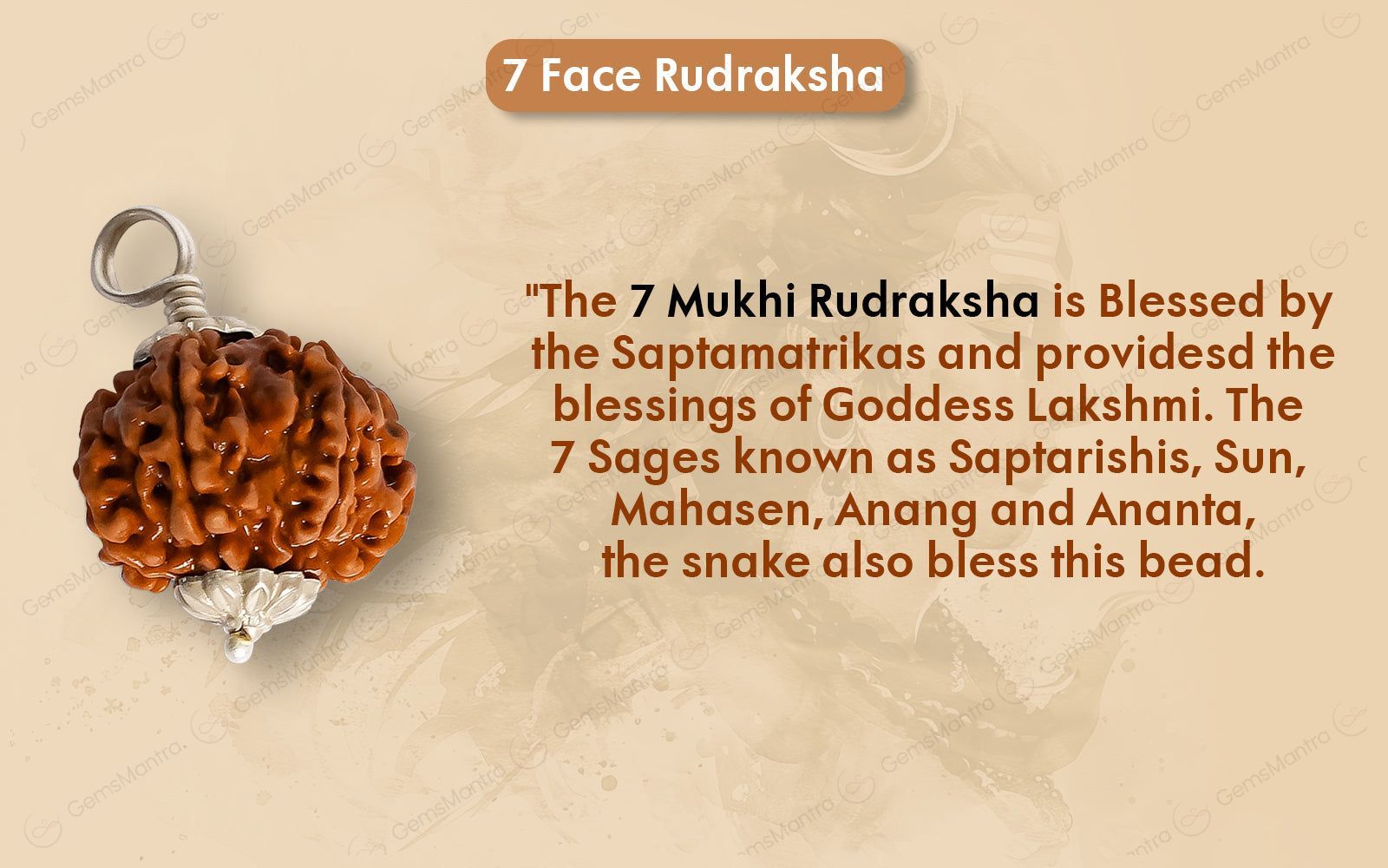 Natural 7 Mukhi Rudraksha