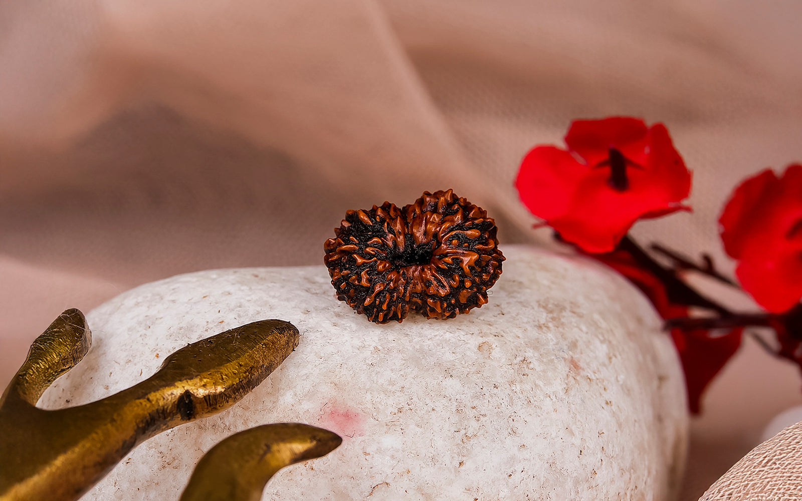 17 Mukhi Rudraksha – Original Indonesian Bead