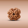 4 Mukhi