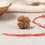Natural 4 Mukhi Rudraksha (Nepali)