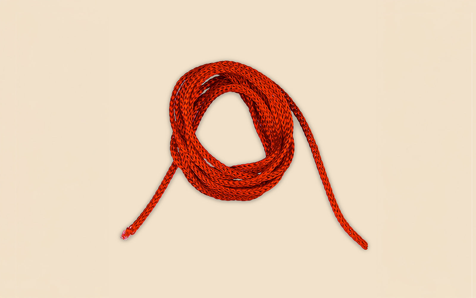 9 Mukhi Rudraksha – Original Indonesian Bead