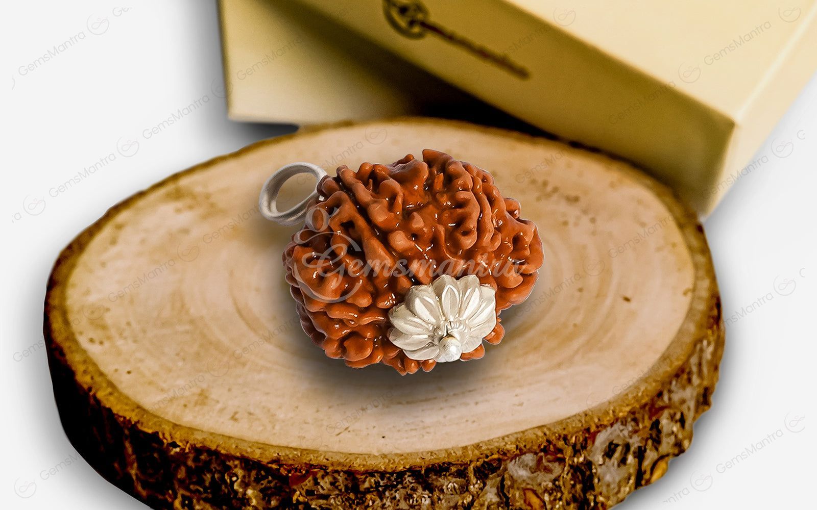 Natural 7 Mukhi Rudraksha