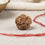 Natural 5 Mukhi Rudraksha (Nepali)