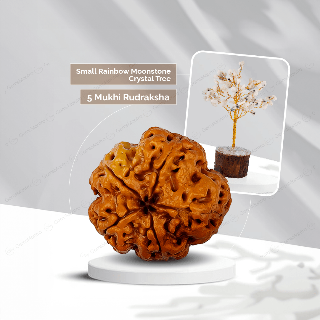 5 Mukhi Rudraksha + Small Rainbow Moonstone Crystal Tree - Gemsmantra