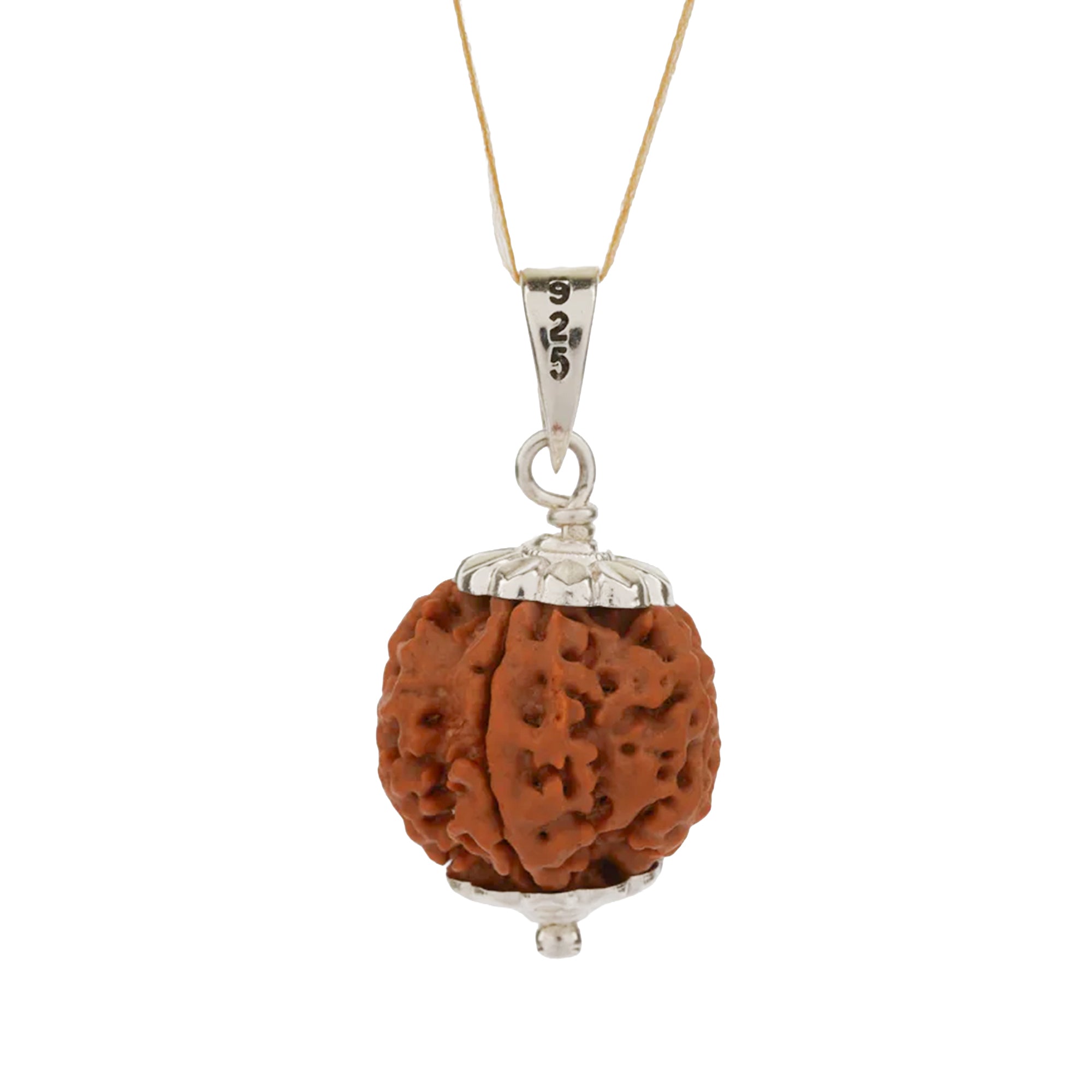 5 Mukhi Rudraksha (Panchmukhi) – Original Nepali Bead