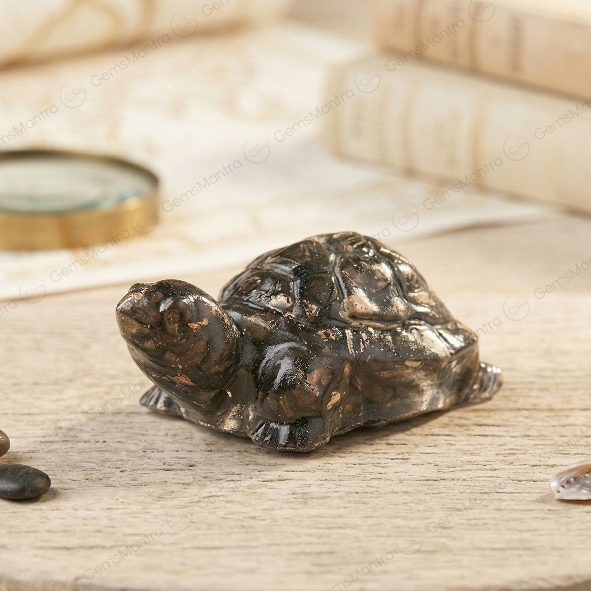 The Vastu Pyrite Tortoise