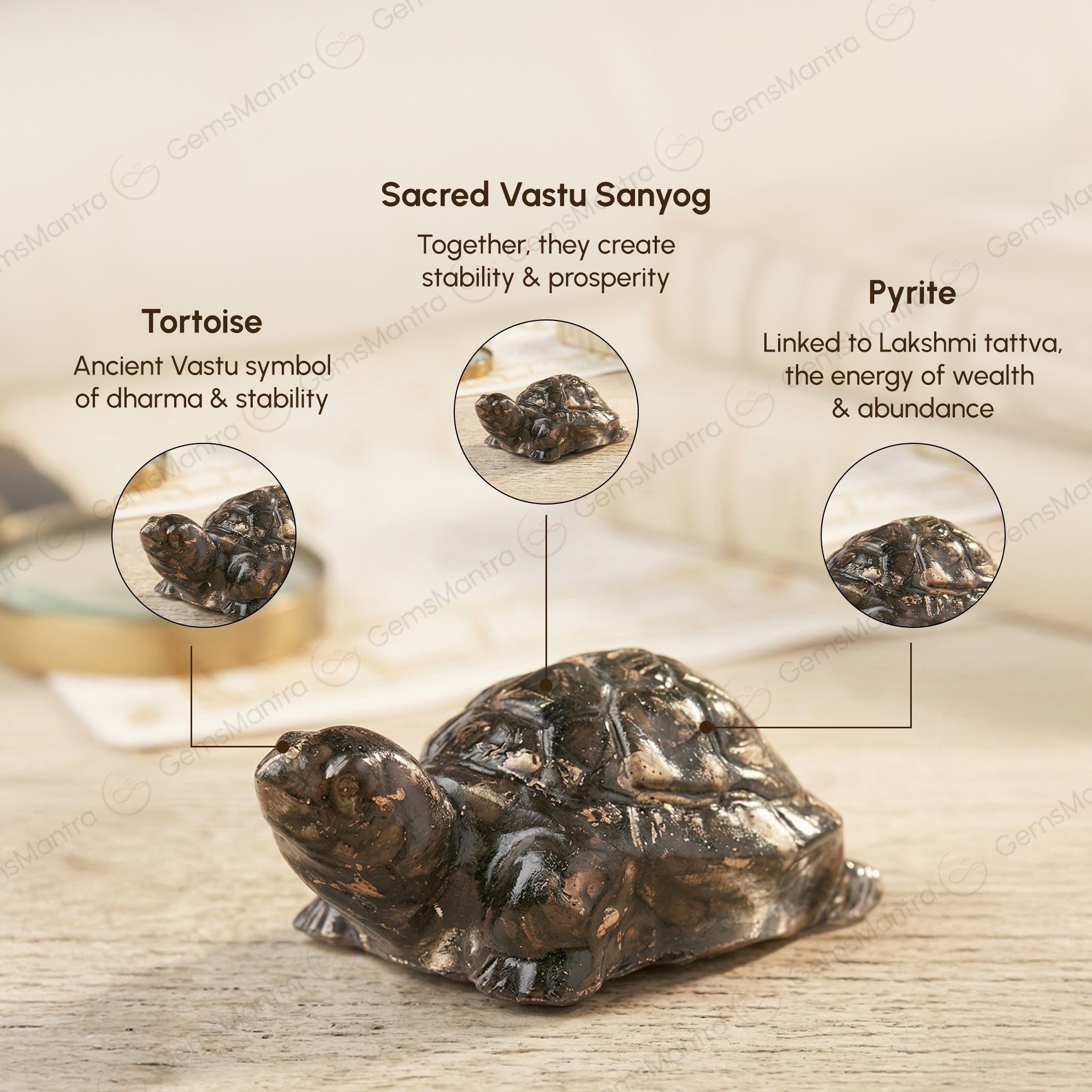 The Vastu Pyrite Tortoise