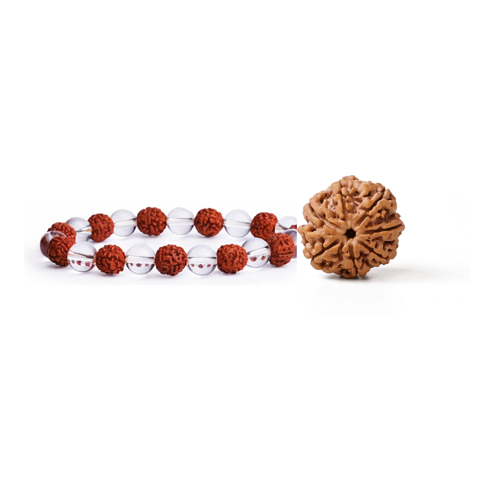7 Mukhi Rudraksha and Rudraksha crystal bracelet combo, product-only view
