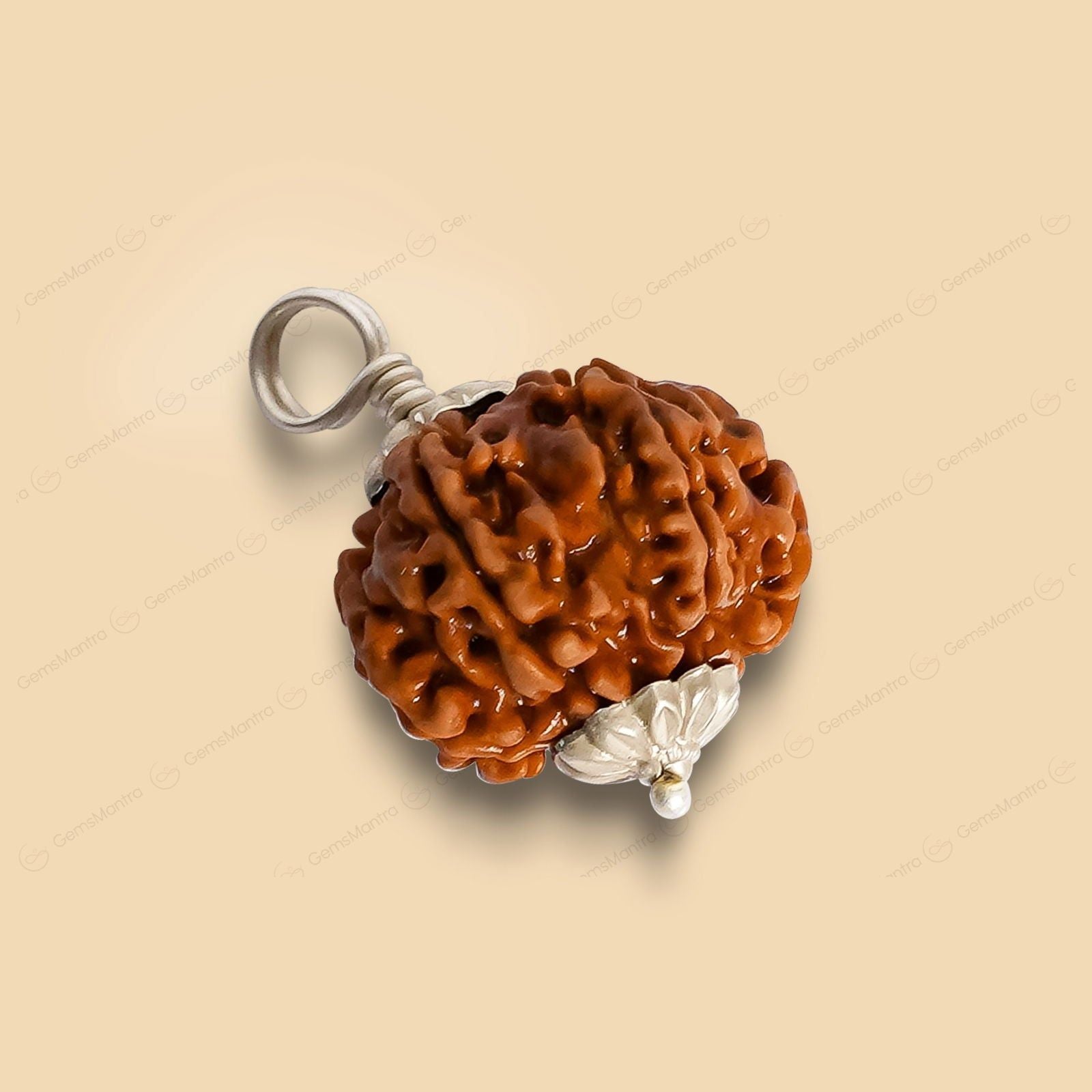 8 Mukhi Rudraksha (Indonesian Bead) - Gemsmantra