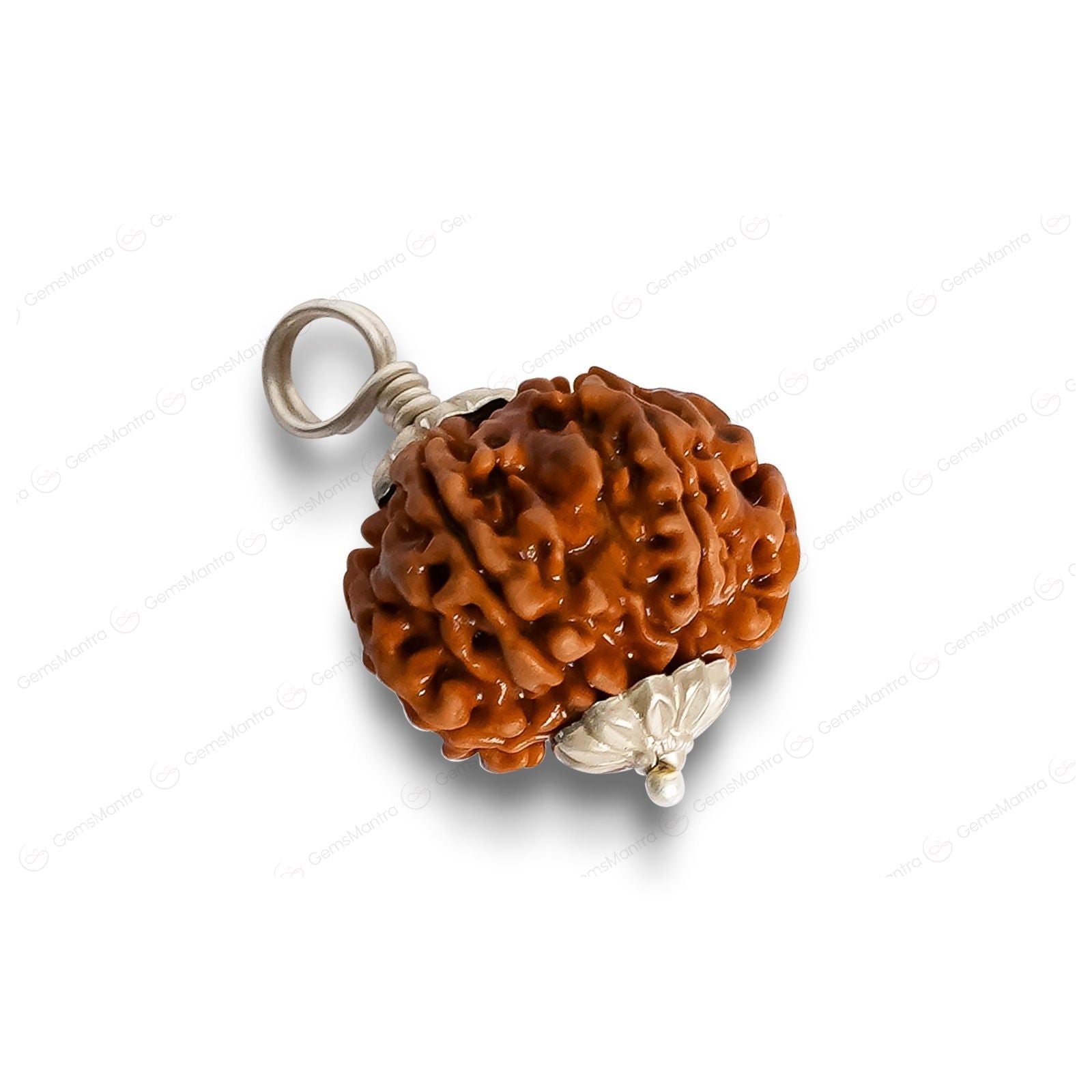 8 Mukhi Rudraksha (Indonesian Bead) - Gemsmantra