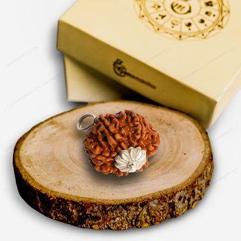 8 Mukhi Rudraksha (Indonesian Bead) - Gemsmantra