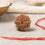 8 mukhi rudraksha nepali