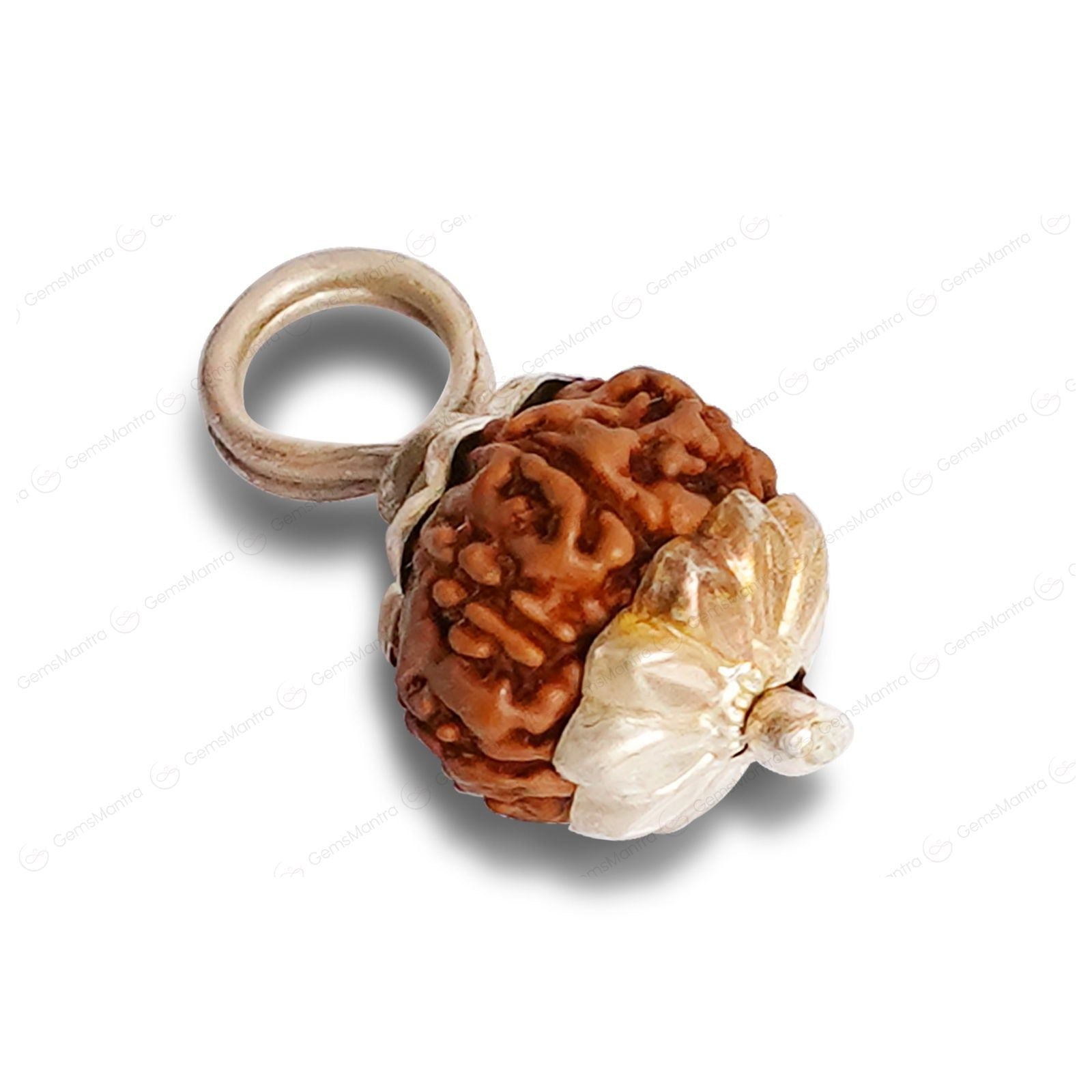 9 Mukhi Rudraksha (Indonesian Bead) - Gemsmantra