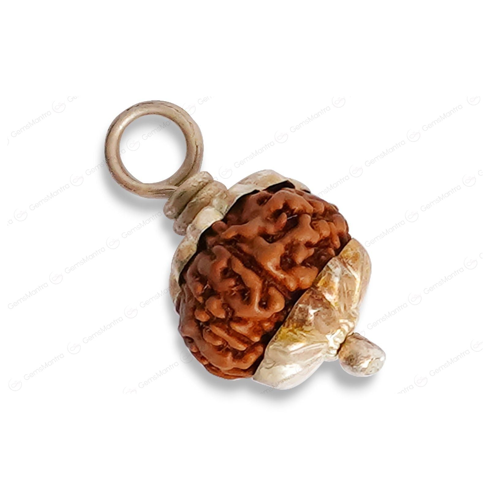9 Mukhi Rudraksha (Indonesian Bead) - Gemsmantra