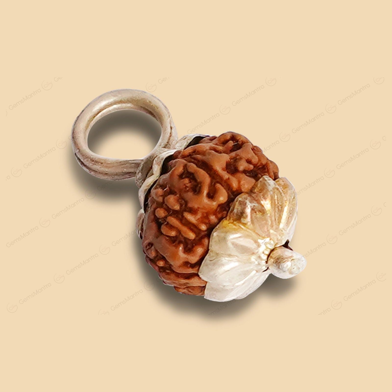 9 Mukhi Rudraksha (Indonesian Bead) - Gemsmantra
