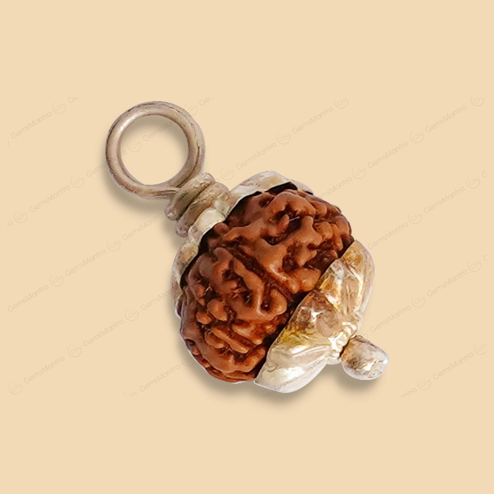 9 Mukhi Rudraksha (Indonesian Bead) - Gemsmantra