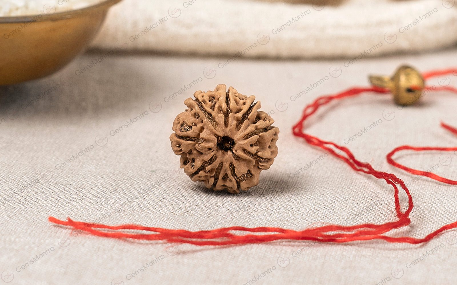 Abhimantrit Natural 9 Mukhi Rudraksha (Nepali)