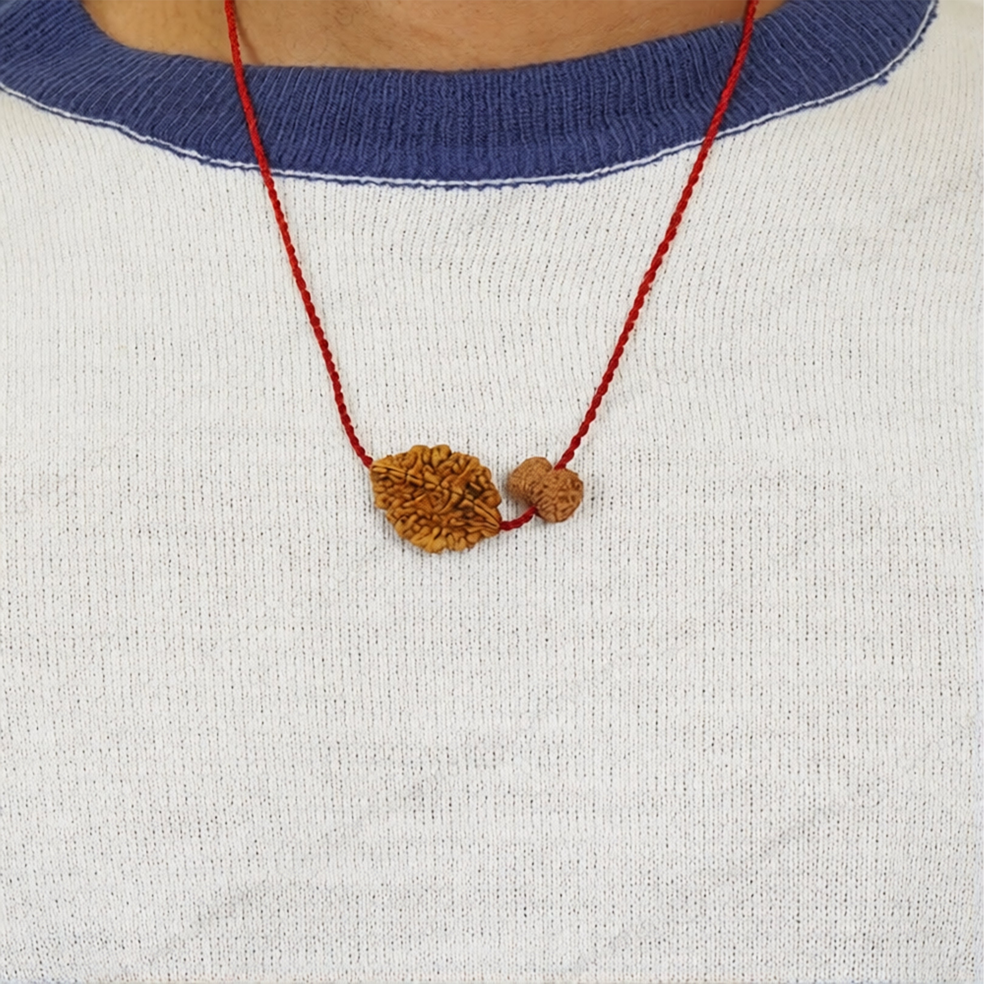 Chandra-Shani Dhairya Shakti Kavach – 2 & 14 Mukhi Rudraksha