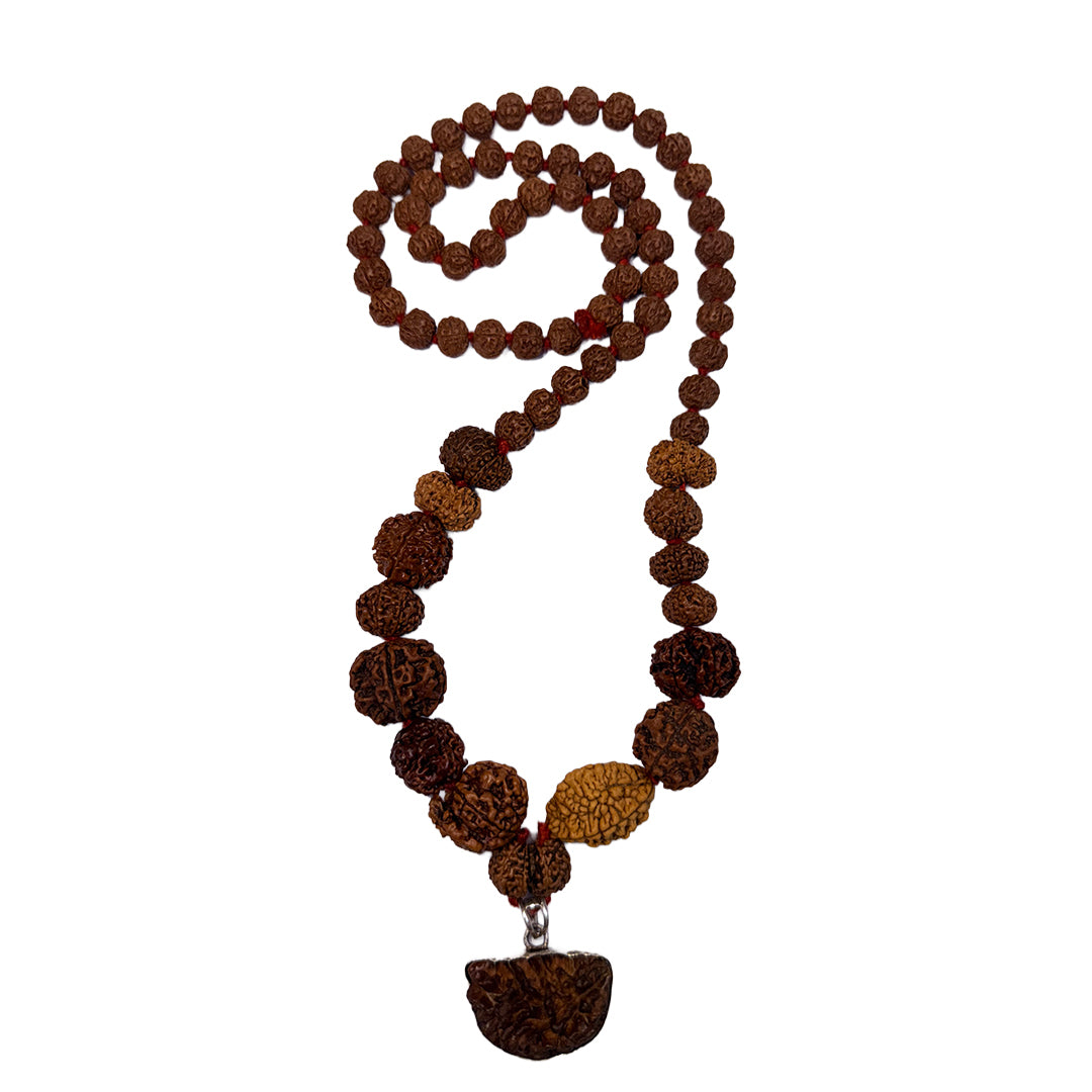 Siddha Mala – 1–14 Mukhi Indonesian Rudraksha Beads