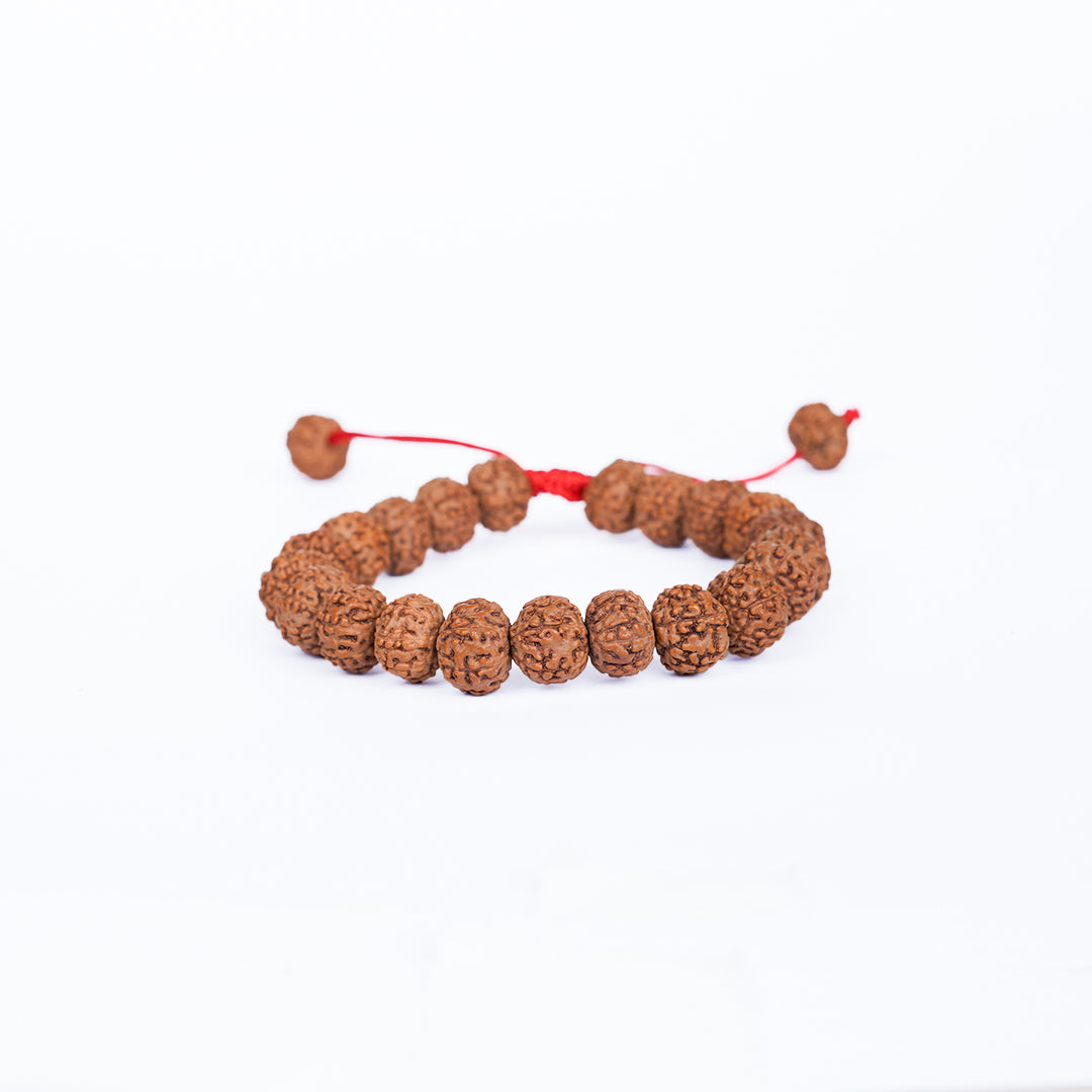 7 Mukhi Rudraksha Bracelet -Adjustable Red Thread