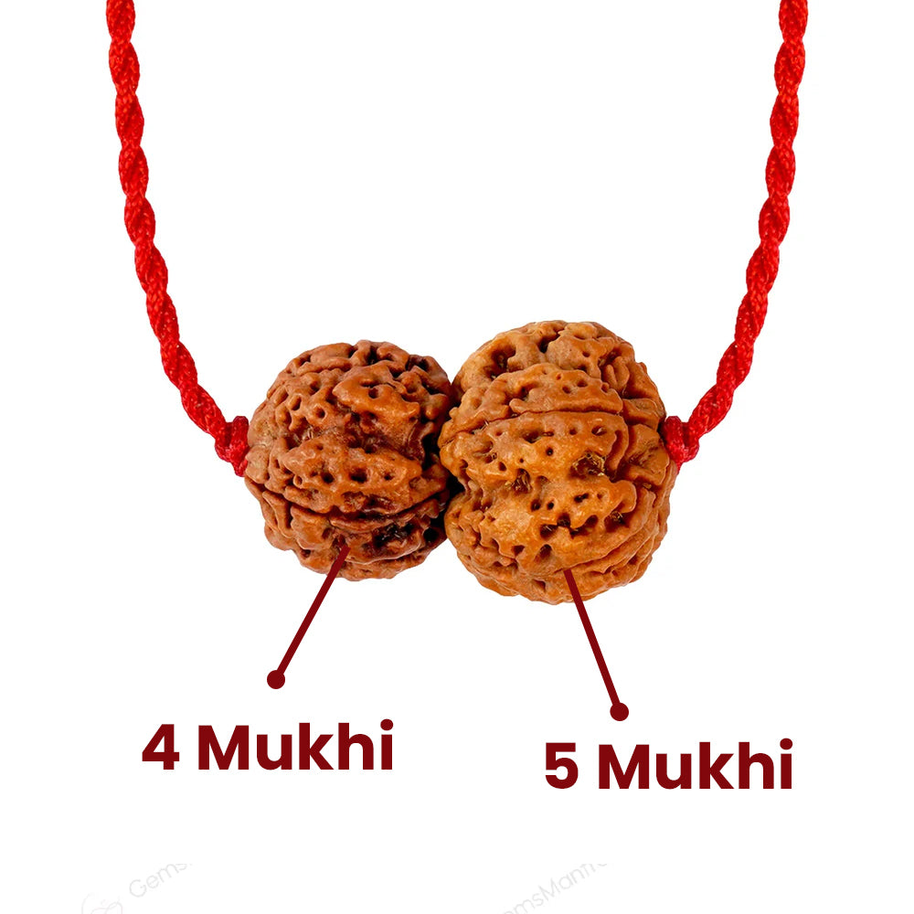 Budh-Guru Buddhi Vriddhi Kavach – 4 Mukhi Rudraksha