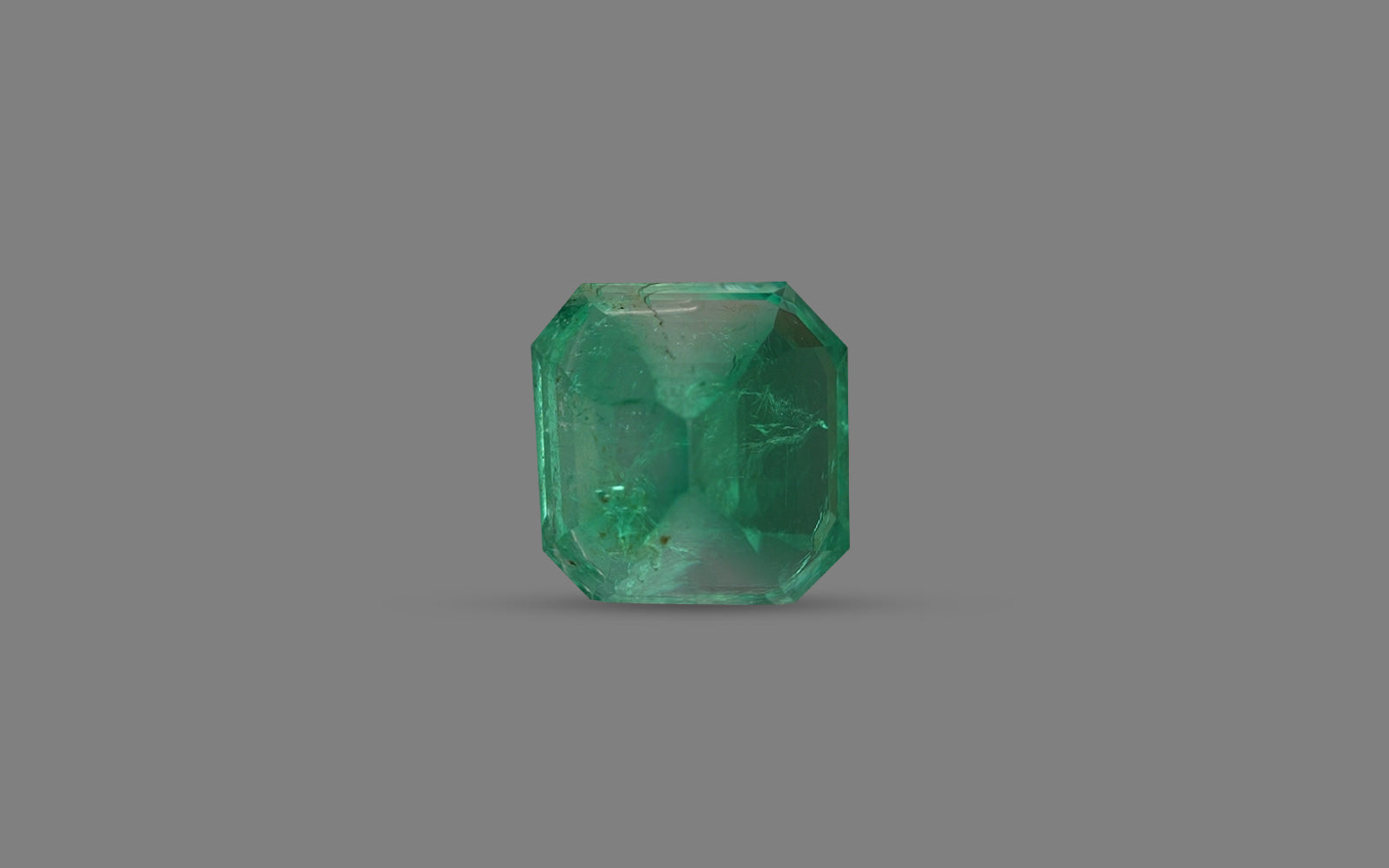 Emerald (Panna) - 8.76 Carats