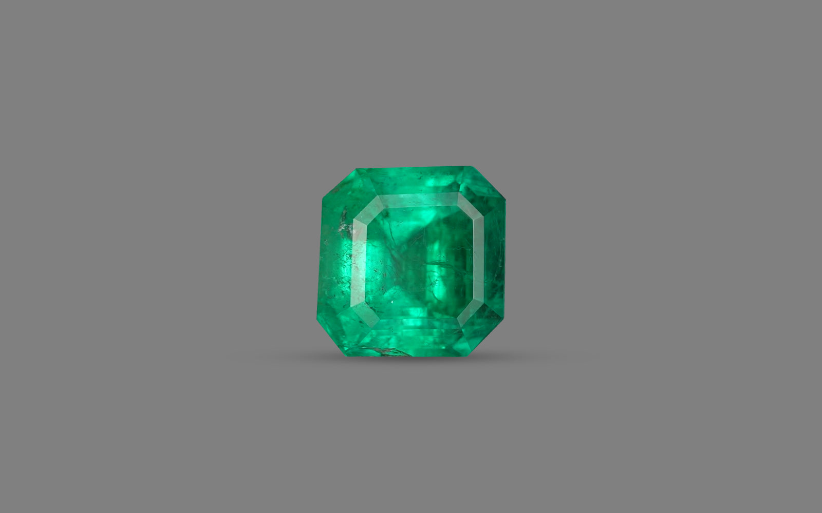 Emerald (Panna) - 8.76 Carats