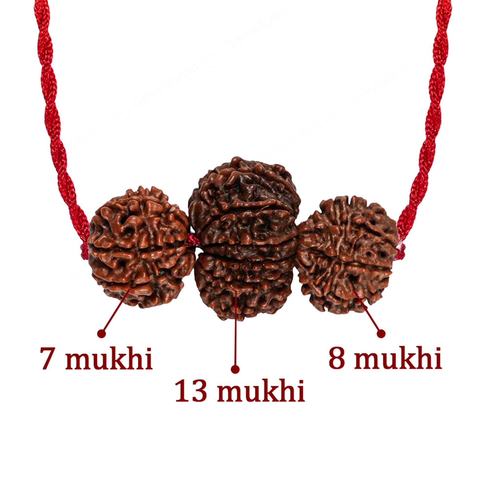 Sales Siddhi Kavach – 7, 8 & 13 Mukhi Rudraksha