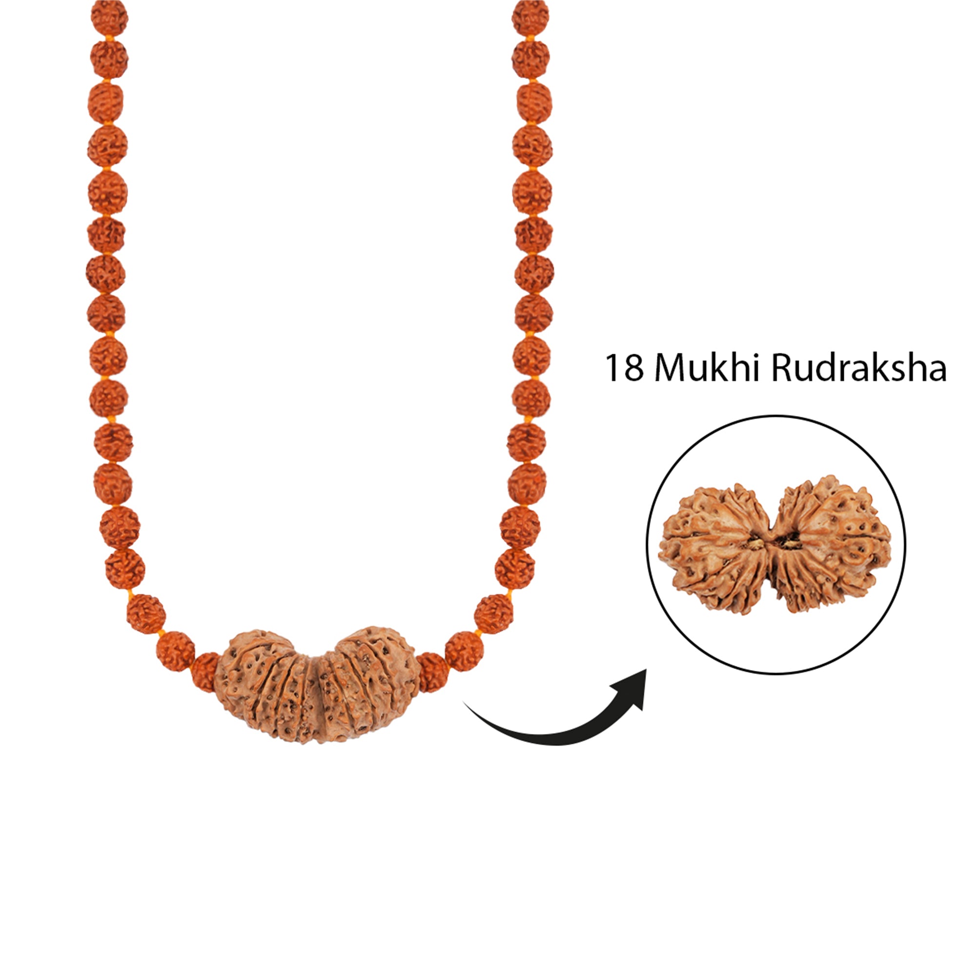 Bhumi Rudra Energy Mala – 18 Mukhi Rudraksha