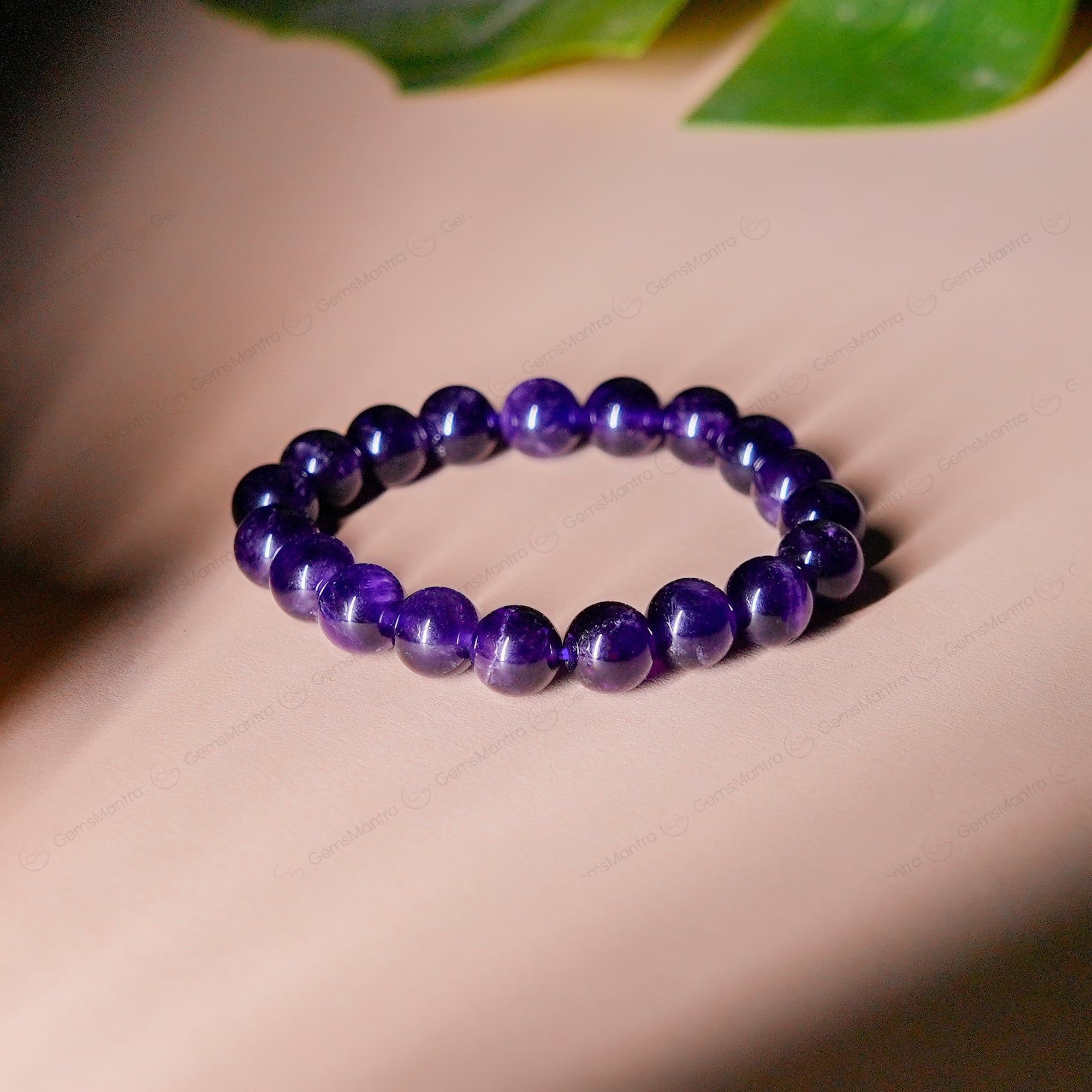 Premium Plus Bracelet Amethyst