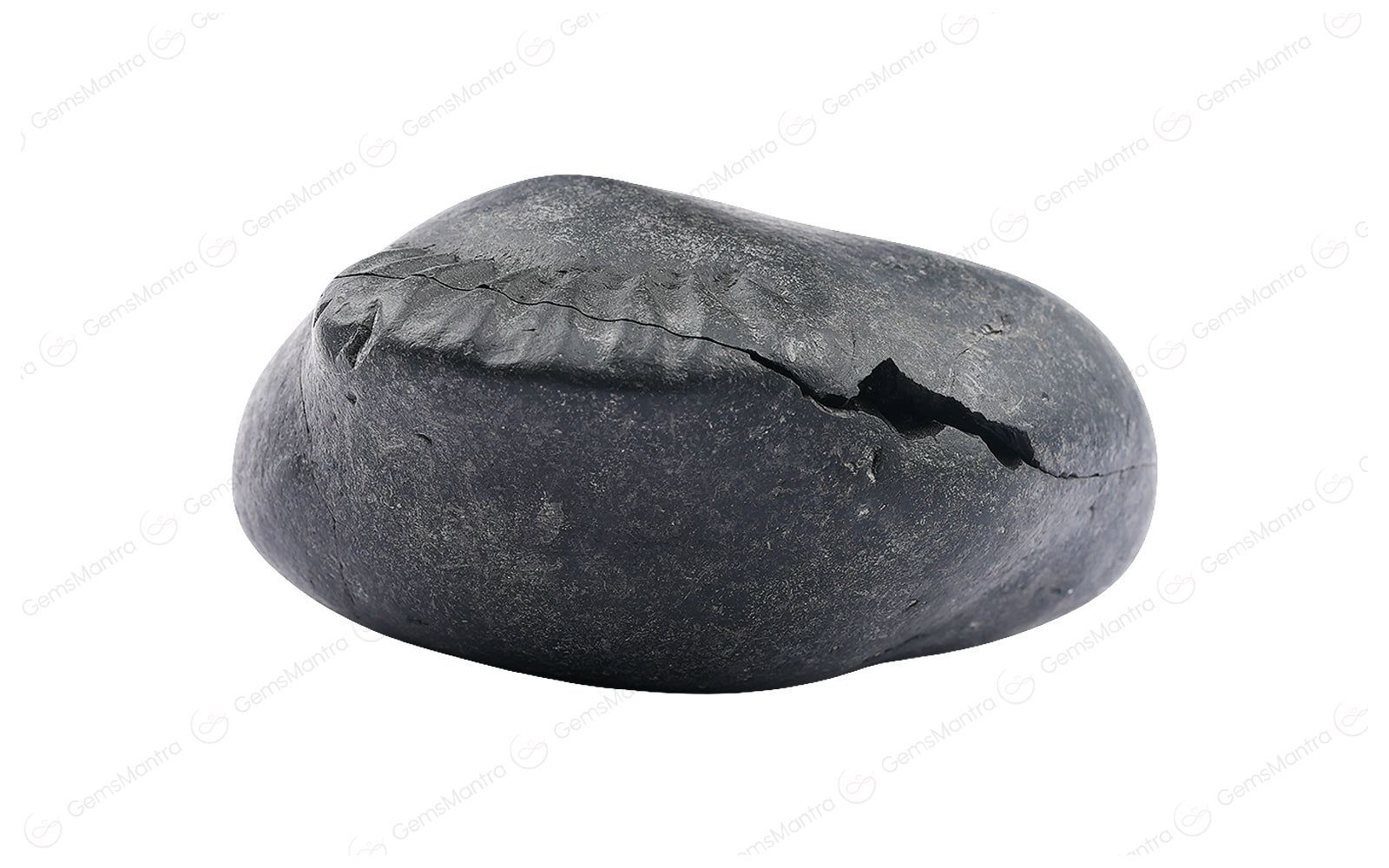 Shaligram