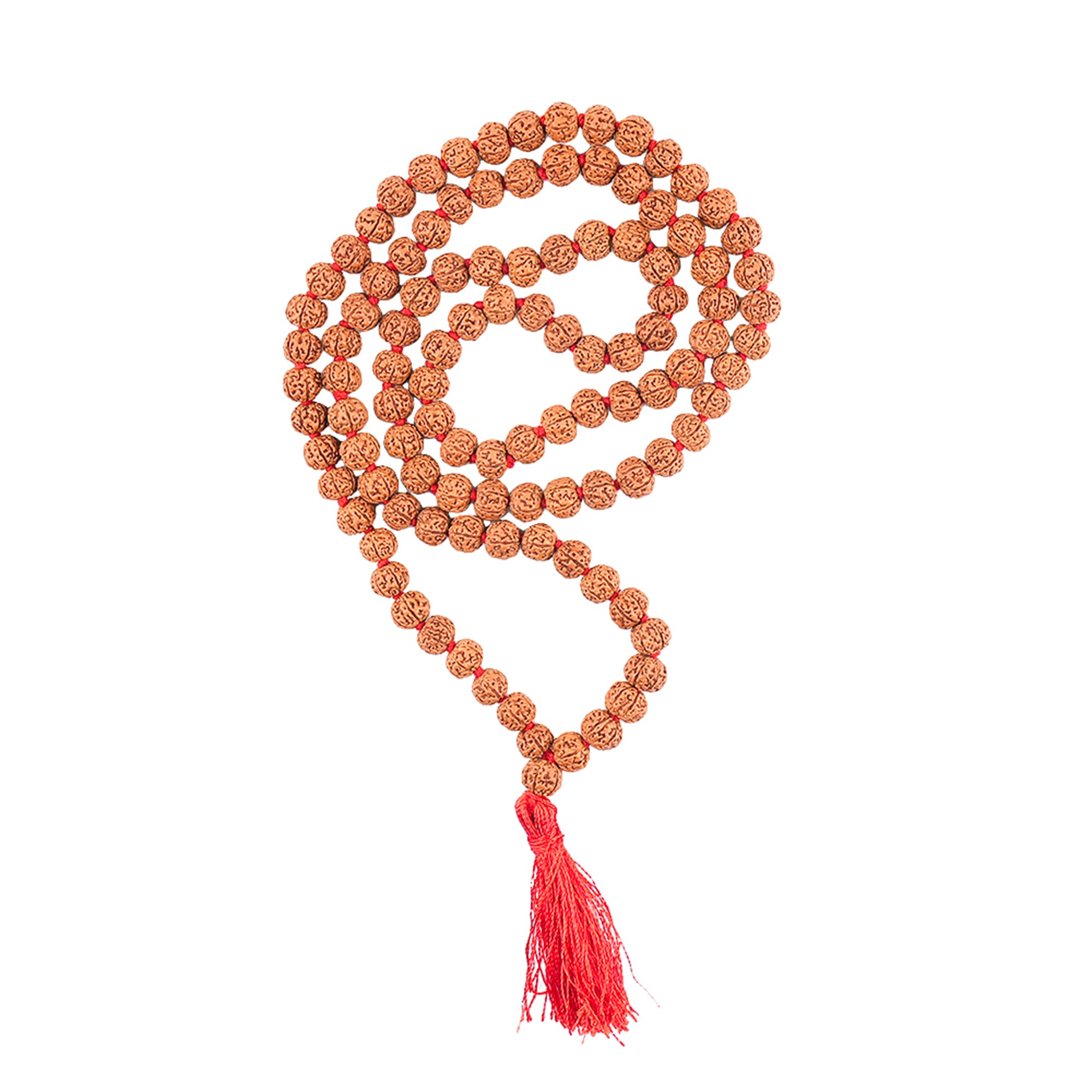 6 Mukhi Rudraksha Mala, for Japa