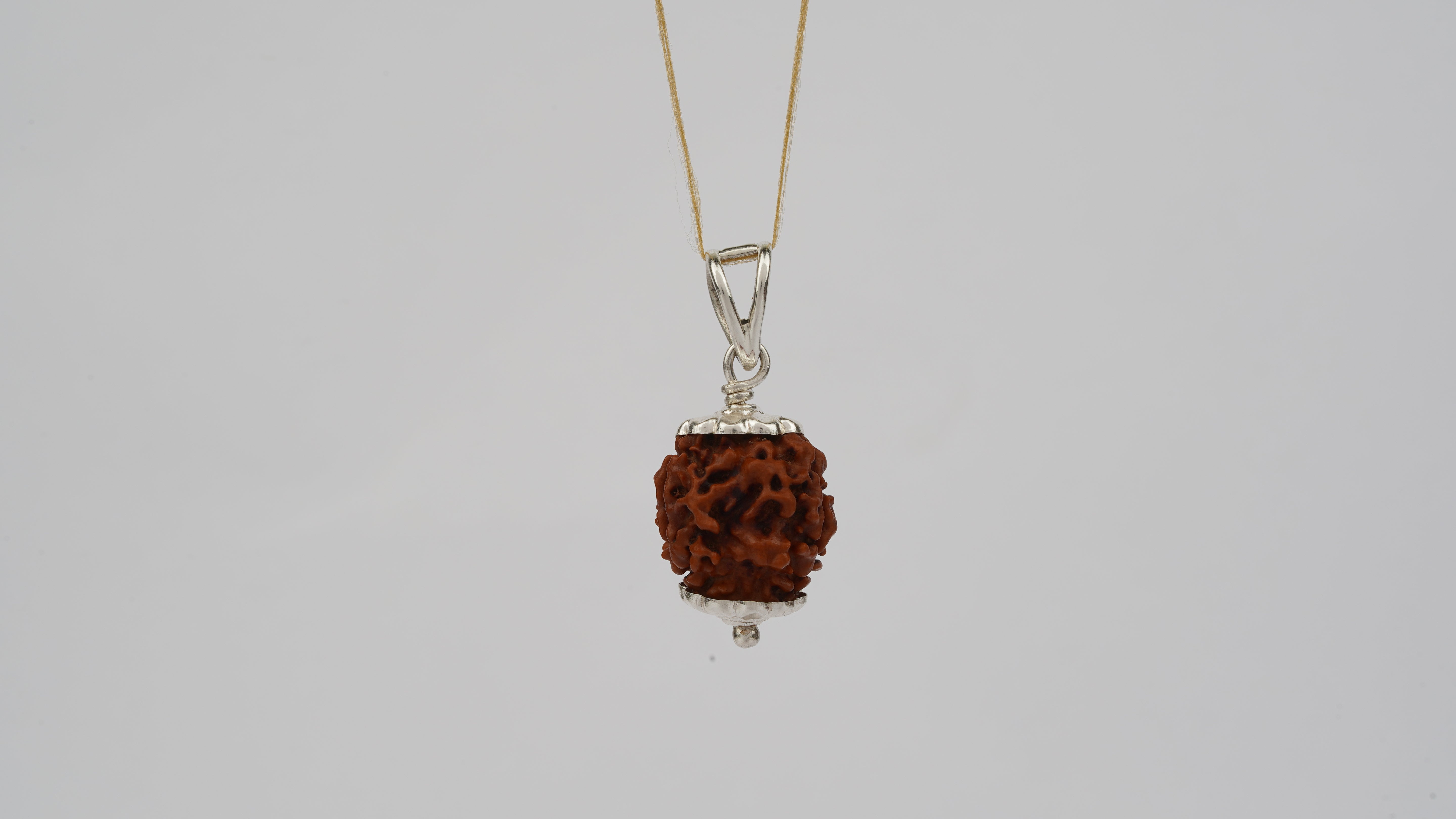 Natural 3 Mukhi Rudraksha (Nepali)