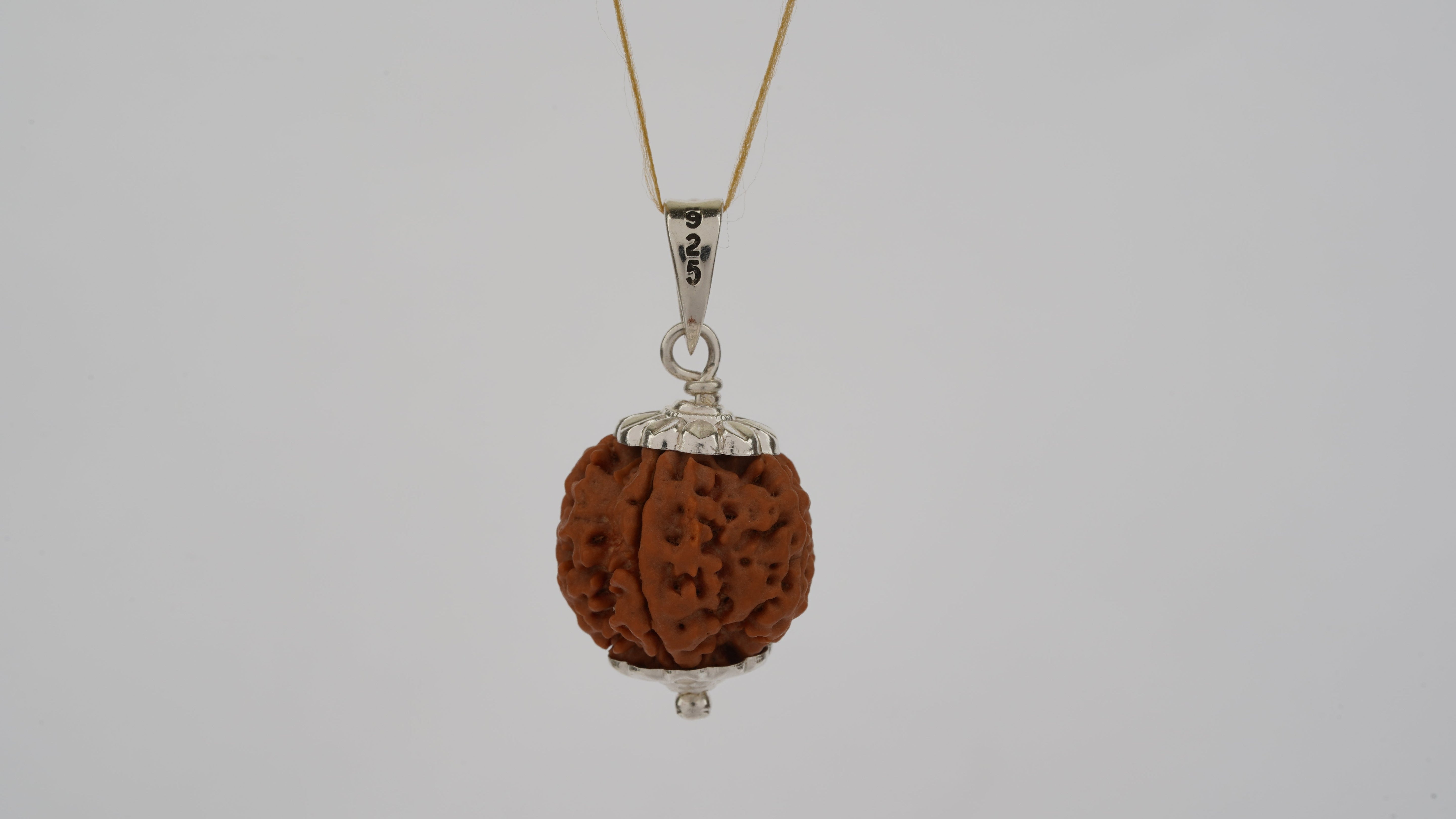 Abhimantrit Natural 5 Mukhi Rudraksha (Nepali)