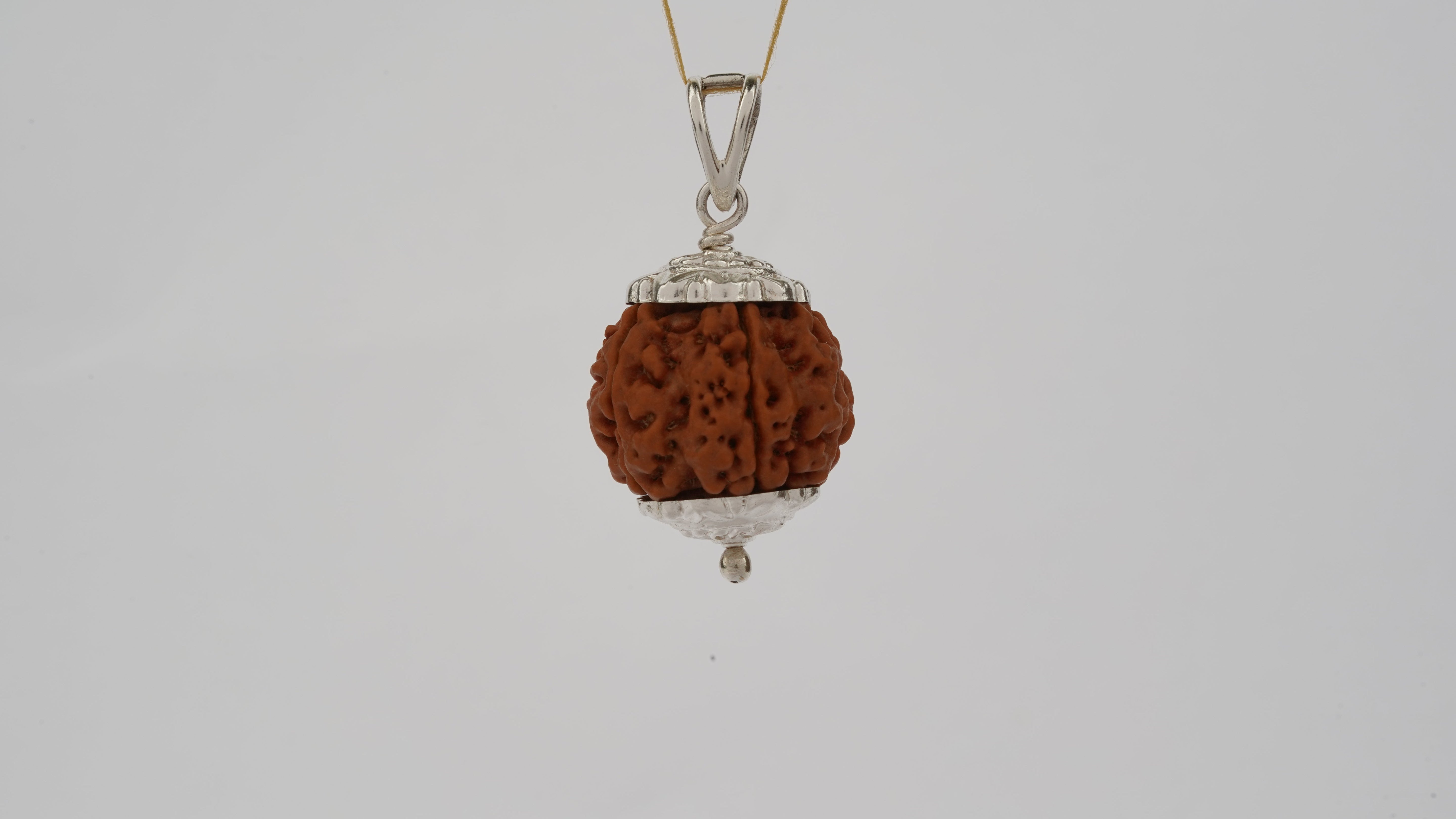 Abhimantrit Natural 6 Mukhi Rudraksha (Nepali)