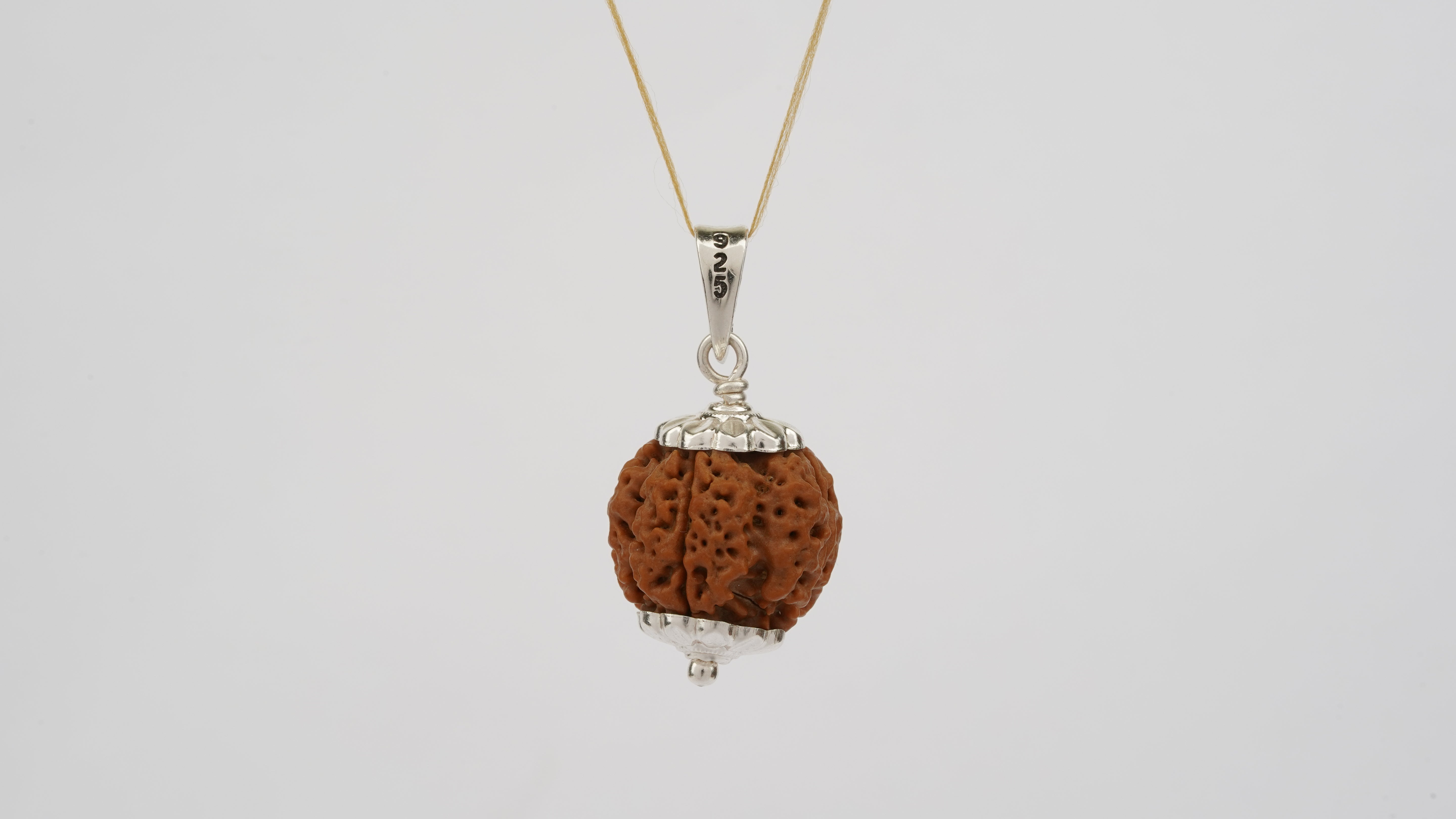 Natural 4 Mukhi Rudraksha (Nepali)