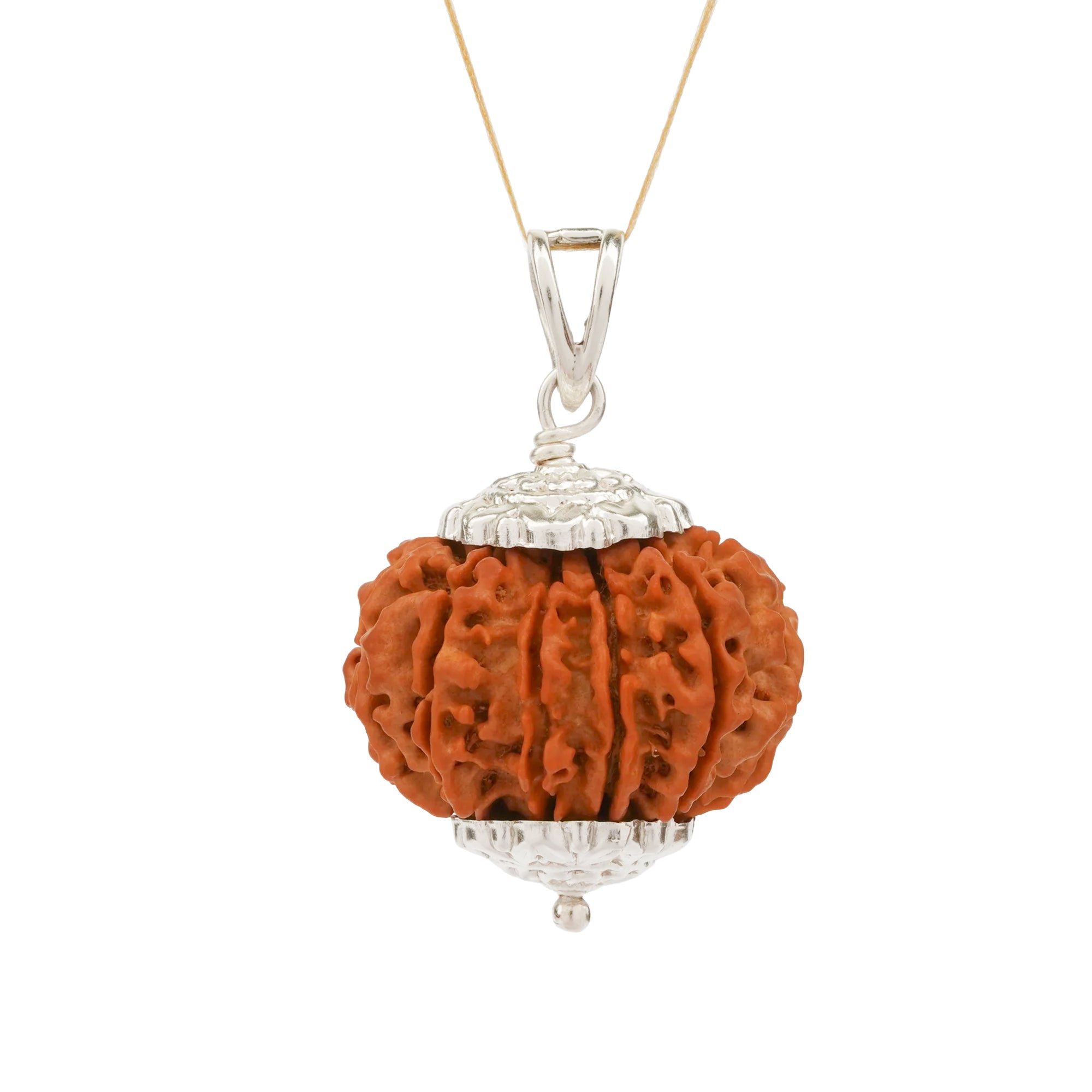 11 Mukhi Rudraksha – Original Nepali Bead