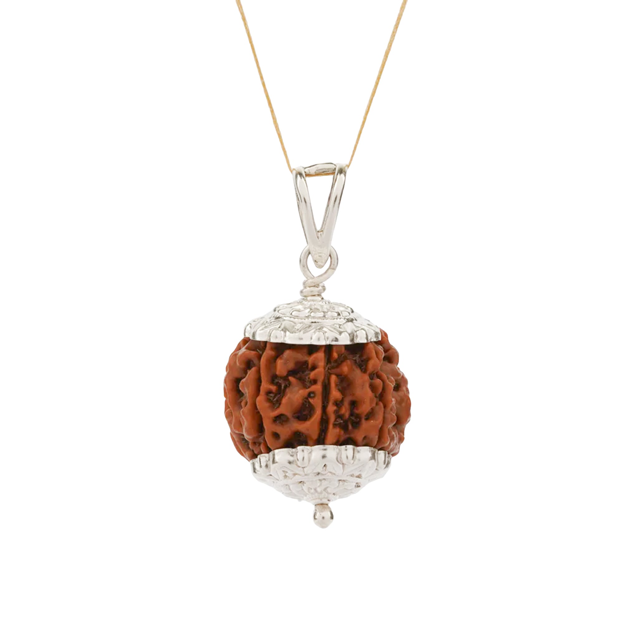 7 Mukhi Rudraksha – Original Nepali Bead