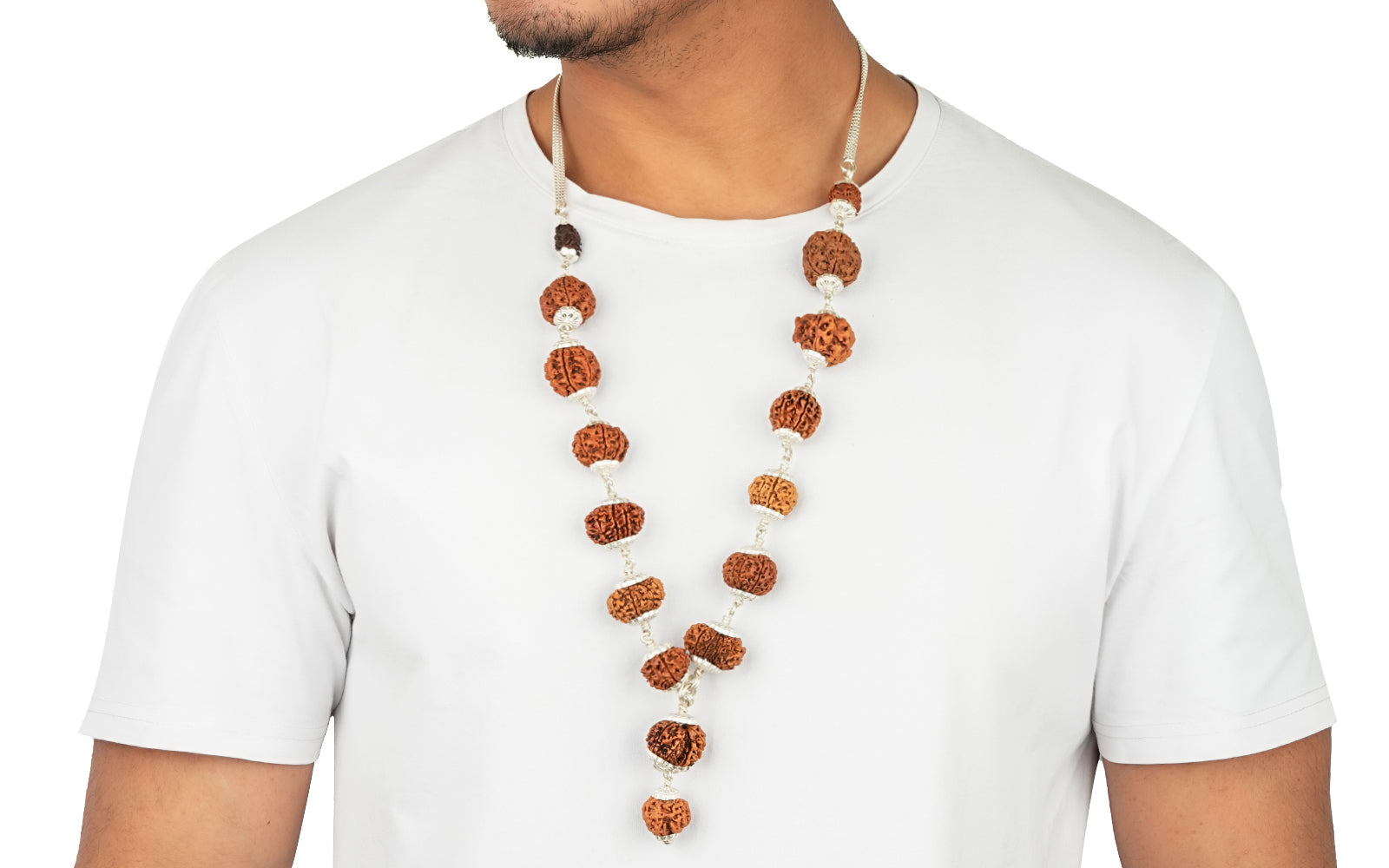 1-14 Mukhi Rudraksha Mala (Siddha Mala)